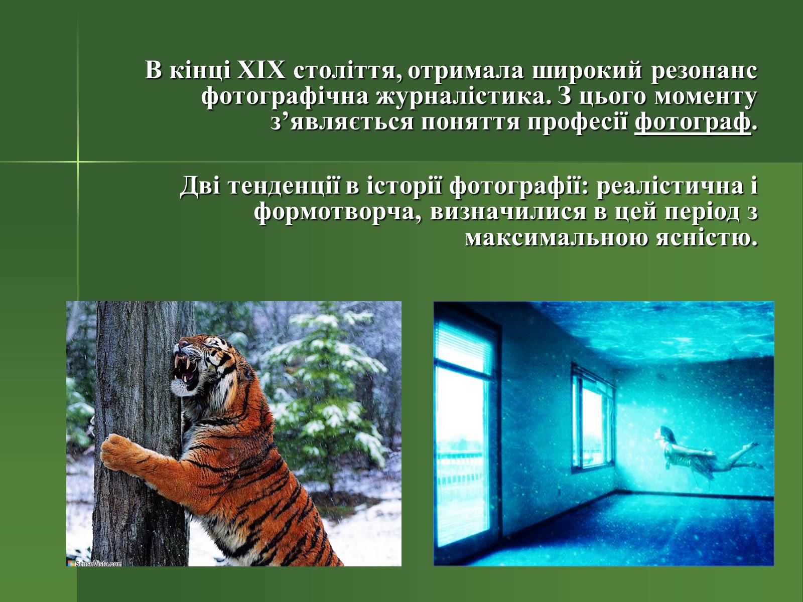 Презентація на тему «Професія фотографа» - Слайд #6 Презентація на тему «Професія фотографа» - Слайд #6