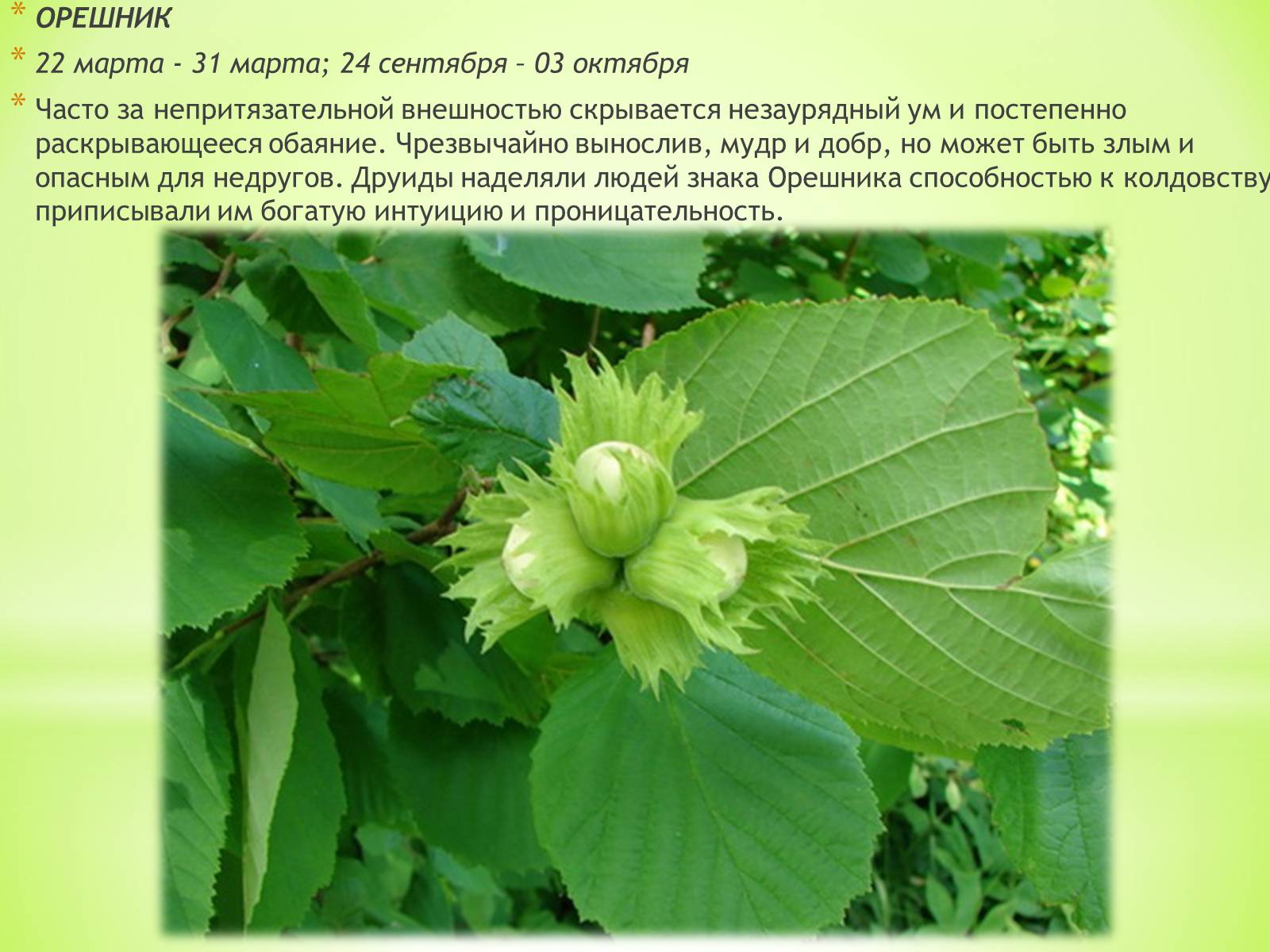 Презентація на тему «Таинственные друиды и их гороскоп» - Слайд #14 Презентація на тему «Таинственные друиды и их гороскоп» - Слайд #14