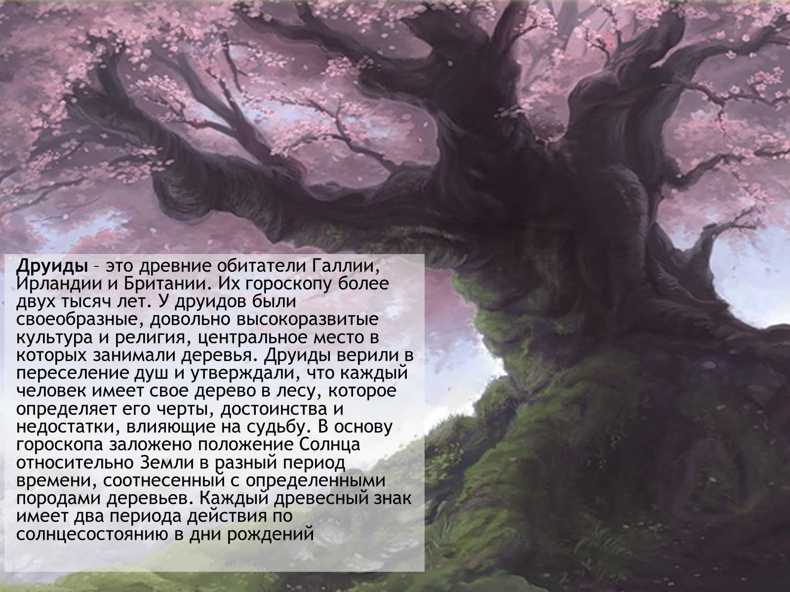 Презентація на тему «Таинственные друиды и их гороскоп» - Слайд #4 Презентація на тему «Таинственные друиды и их гороскоп» - Слайд #4