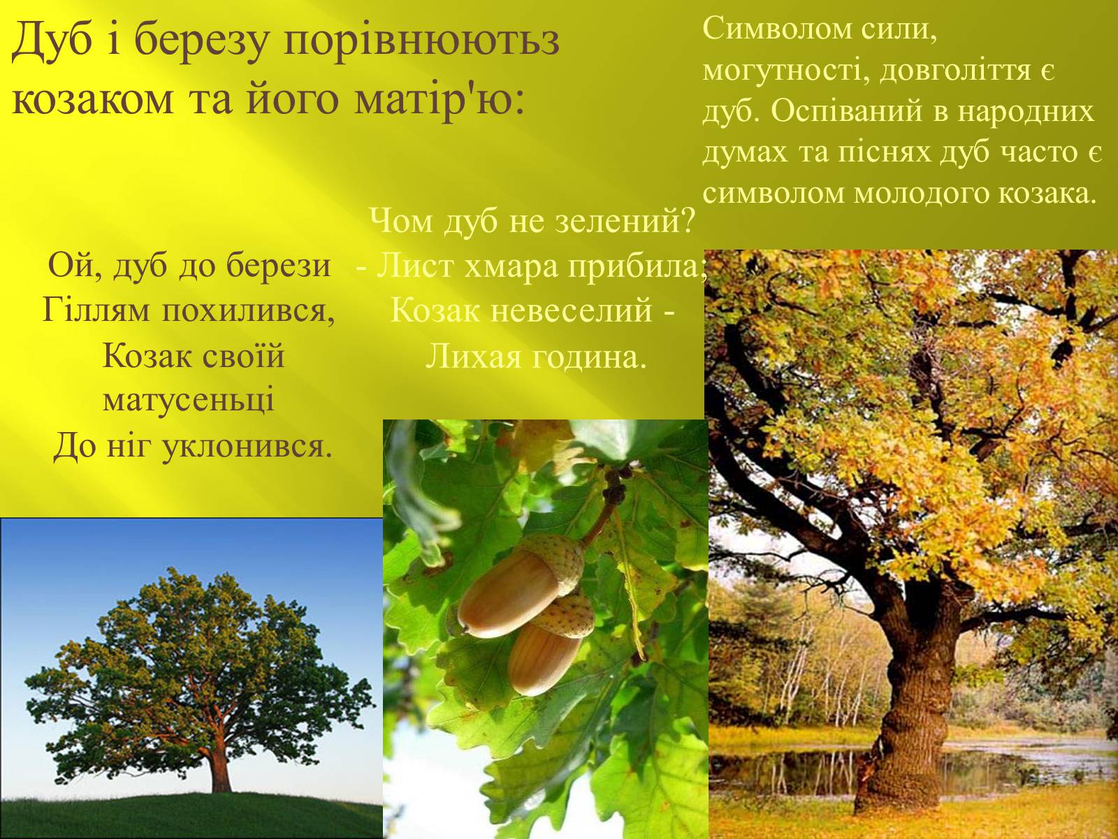 Презентація на тему «Символіка українських народних пісень» - Слайд #16 Презентація на тему «Символіка українських народних пісень» - Слайд #16