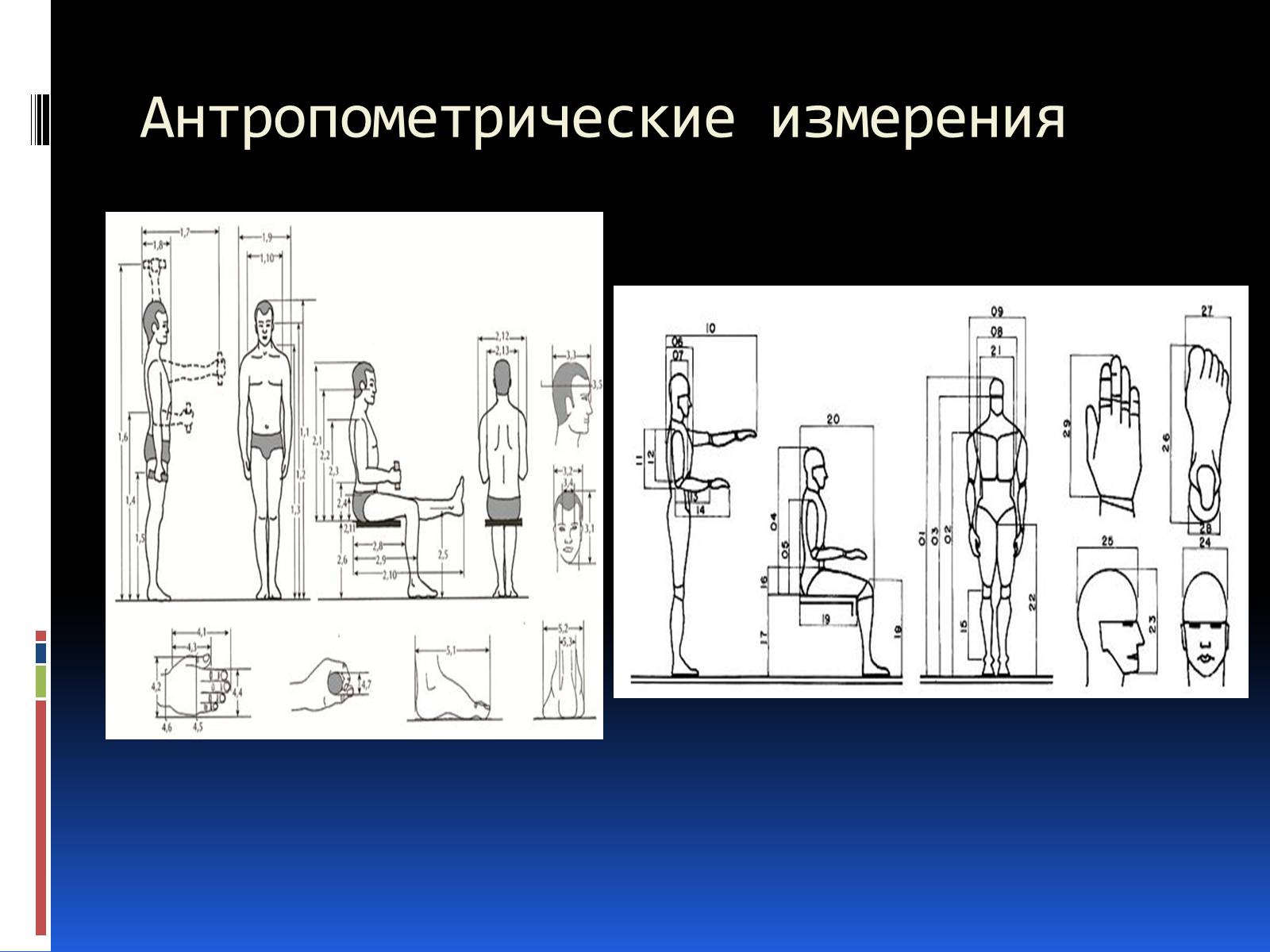 Презентація на тему «Эргономика» - Слайд #39 Презентація на тему «Эргономика» - Слайд #39