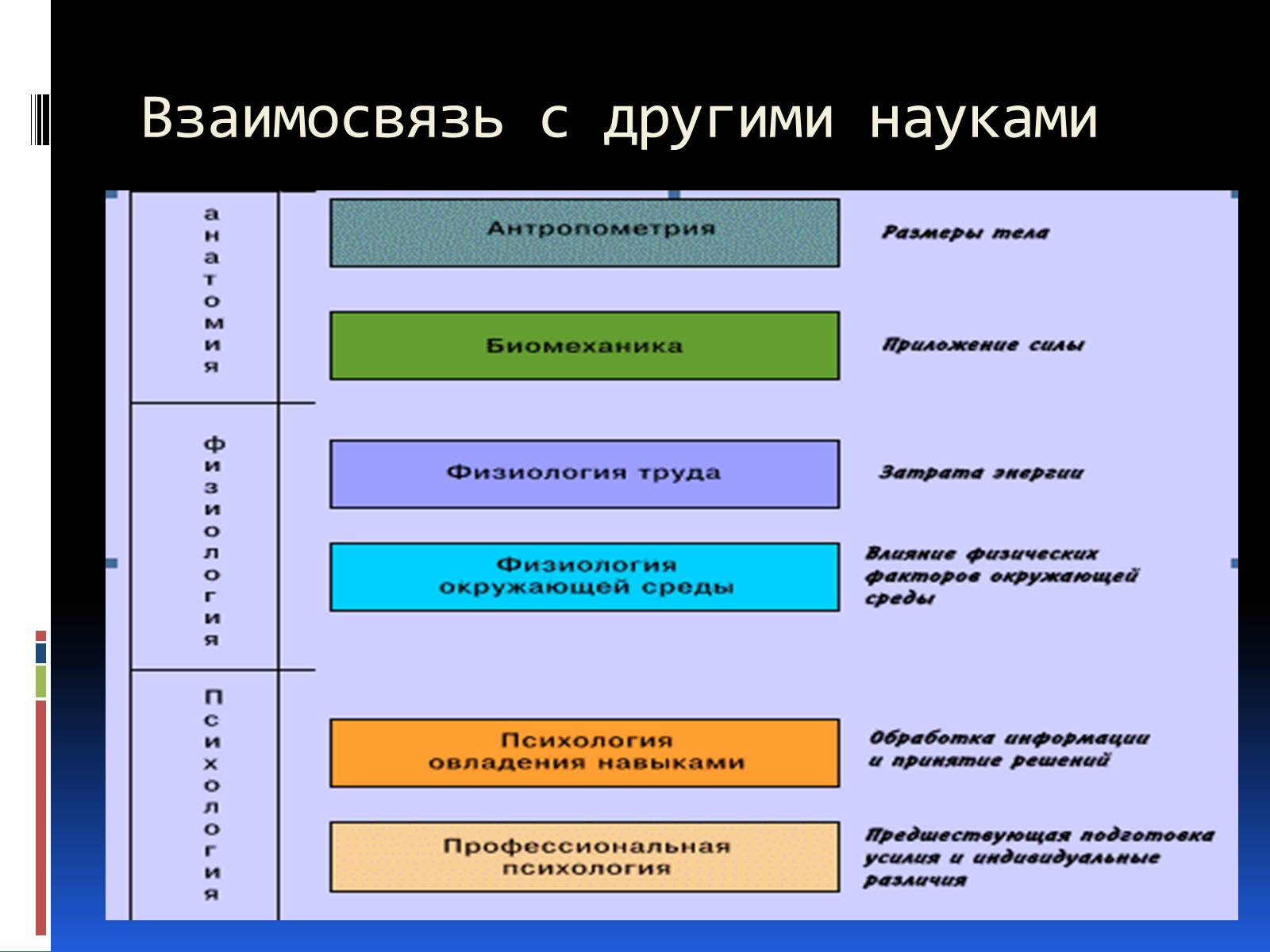 Презентація на тему «Эргономика» - Слайд #5 Презентація на тему «Эргономика» - Слайд #5