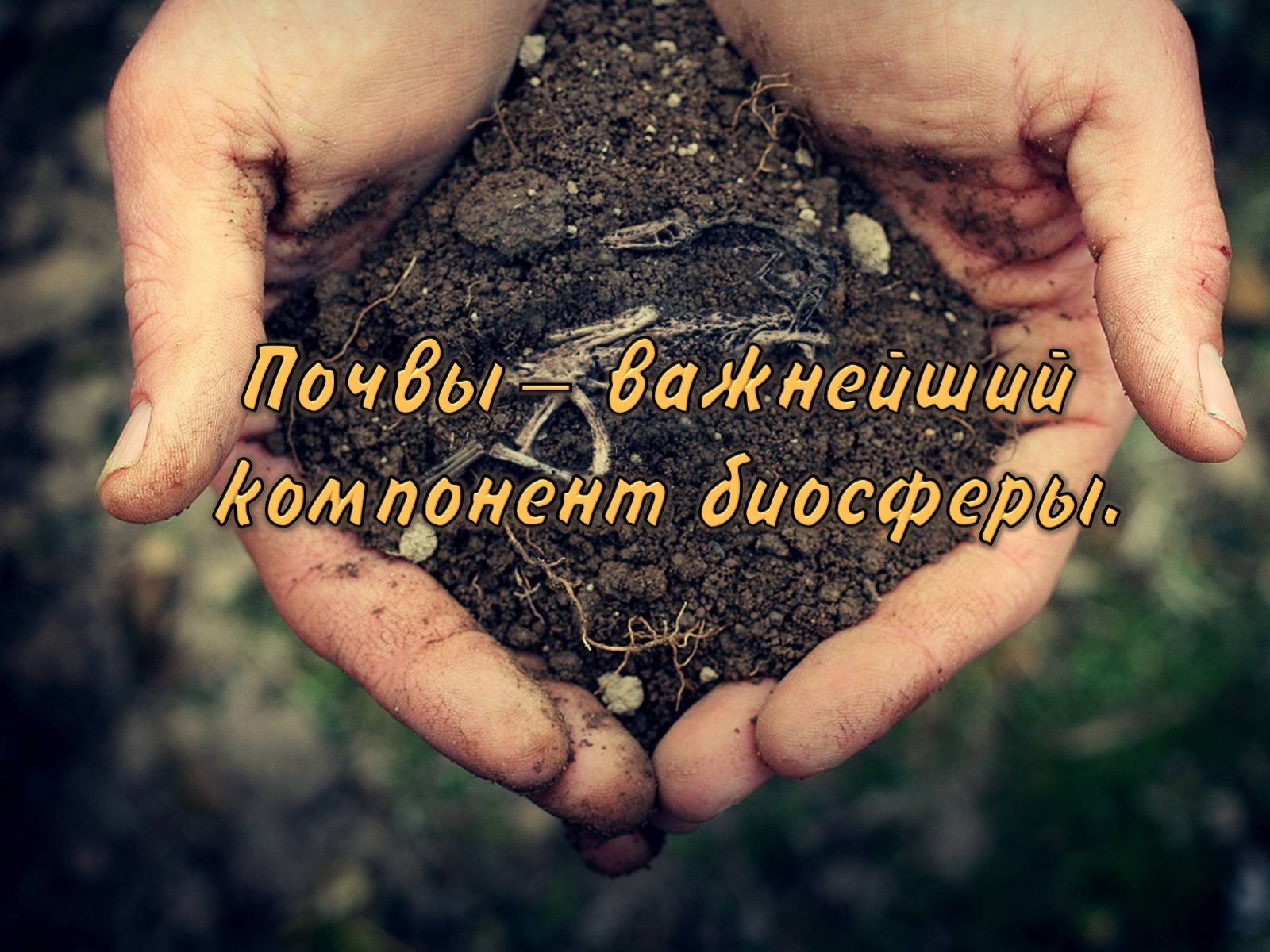 Презентація на тему «Деградация почв» (варіант 1) - Слайд #2 Презентація на тему «Деградация почв» (варіант 1) - Слайд #2