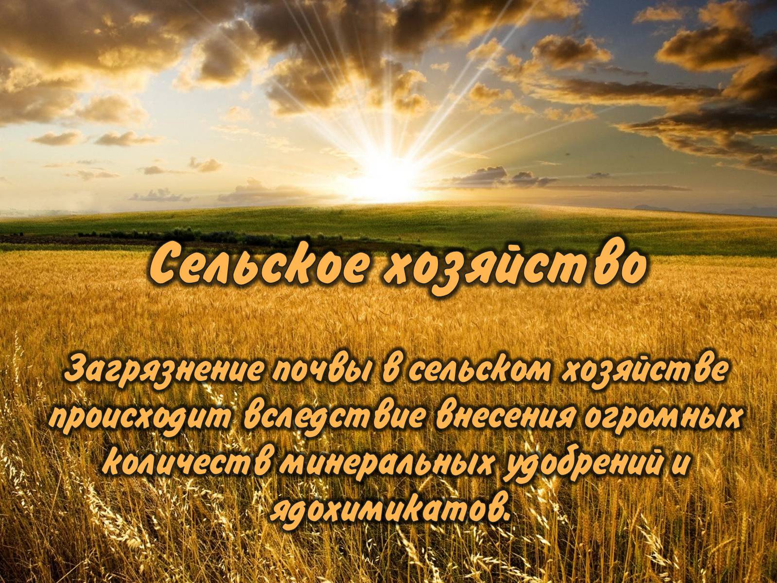 Презентація на тему «Деградация почв» (варіант 1) - Слайд #23 Презентація на тему «Деградация почв» (варіант 1) - Слайд #23