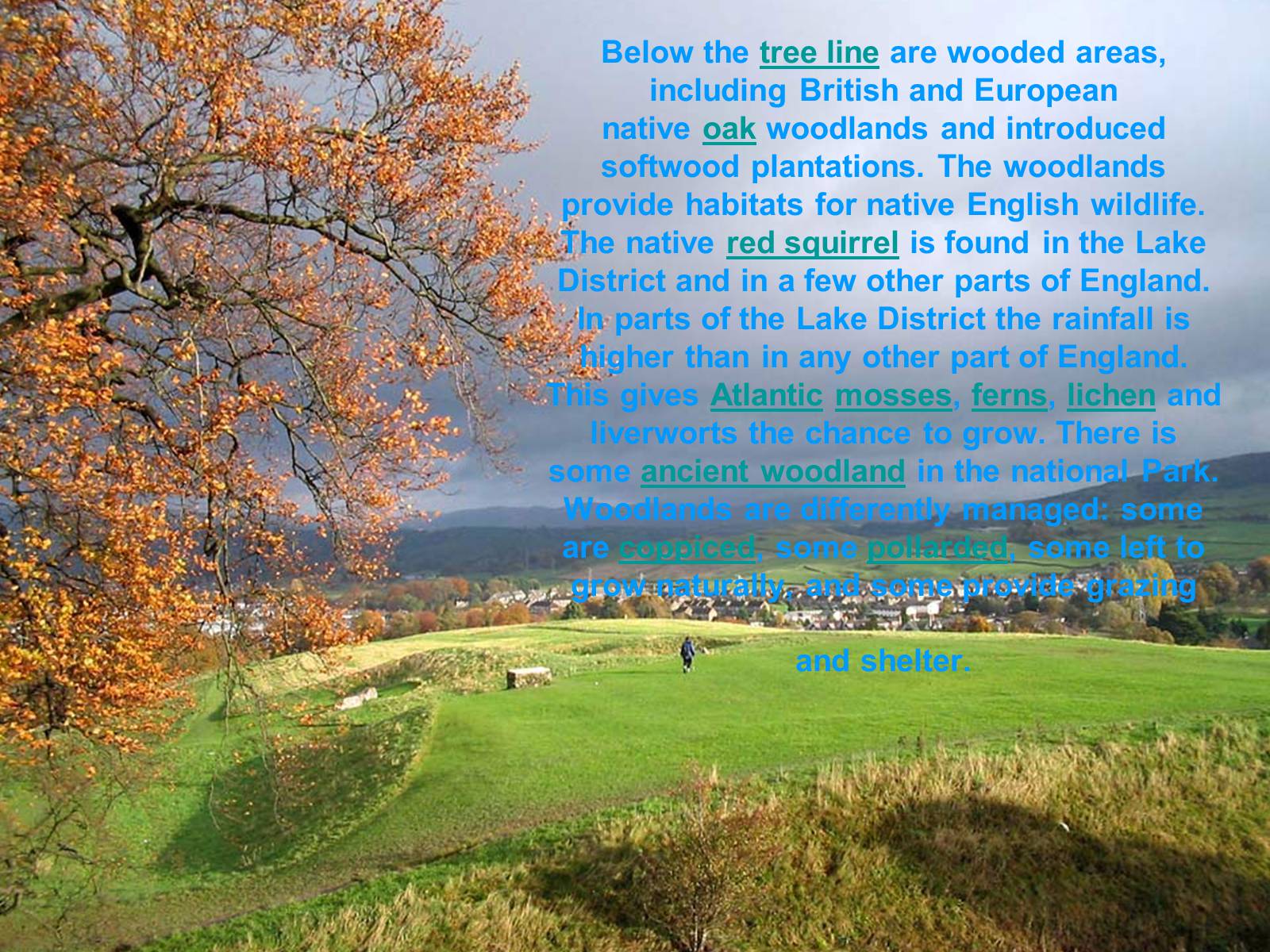 Презентація на тему «National Park Lake District» - Слайд #6 Презентація на тему «National Park Lake District» - Слайд #6