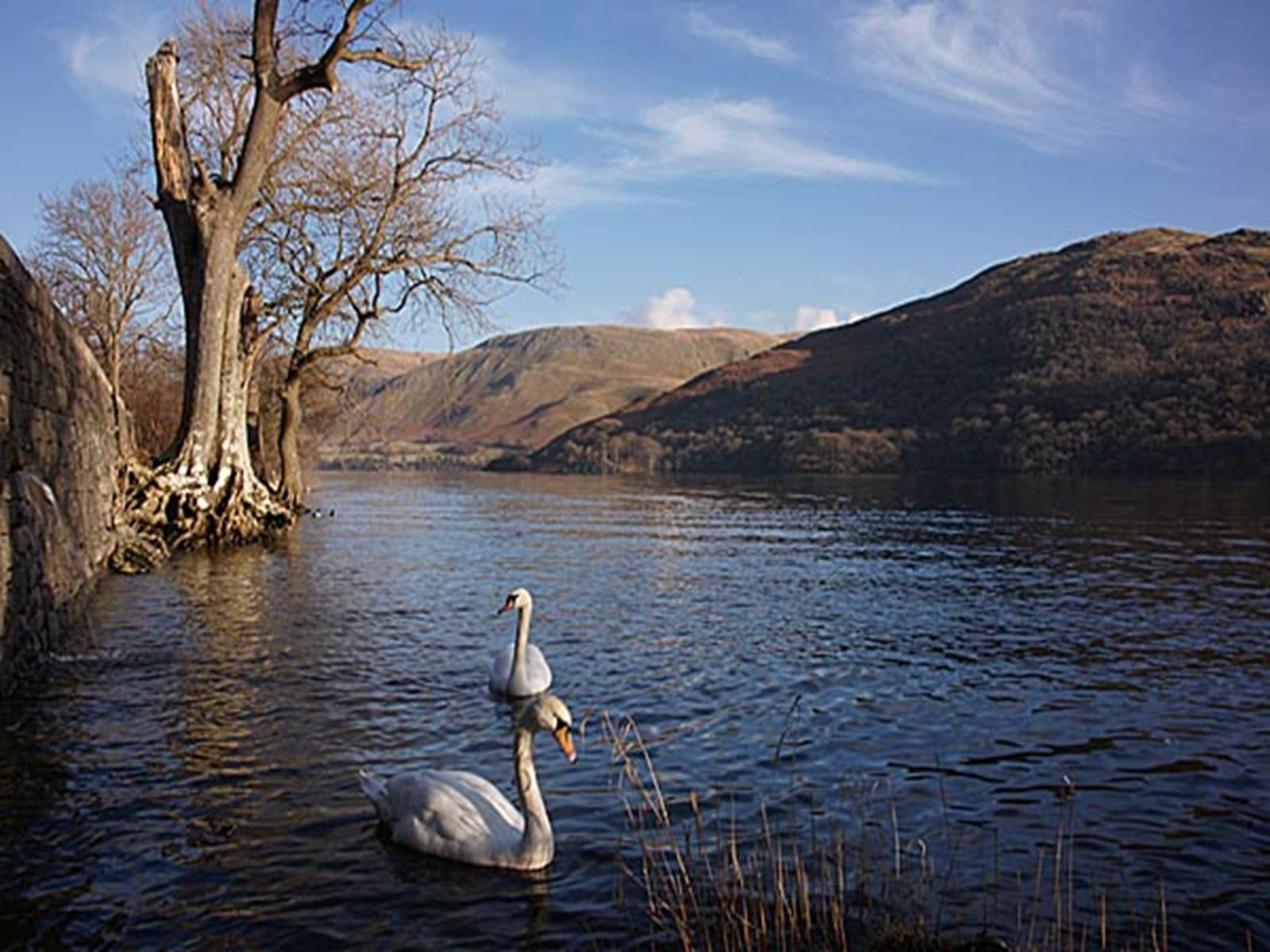 Презентація на тему «National Park Lake District» - Слайд #9 Презентація на тему «National Park Lake District» - Слайд #9
