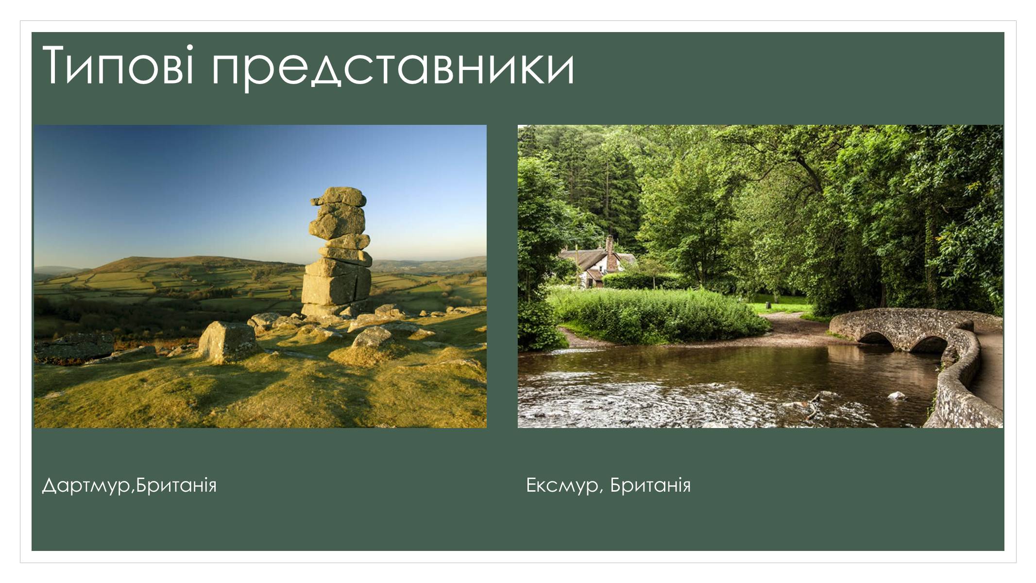 Презентація на тему «Садово-паркова культура» (варіант 2) - Слайд #11 Презентація на тему «Садово-паркова культура» (варіант 2) - Слайд #11