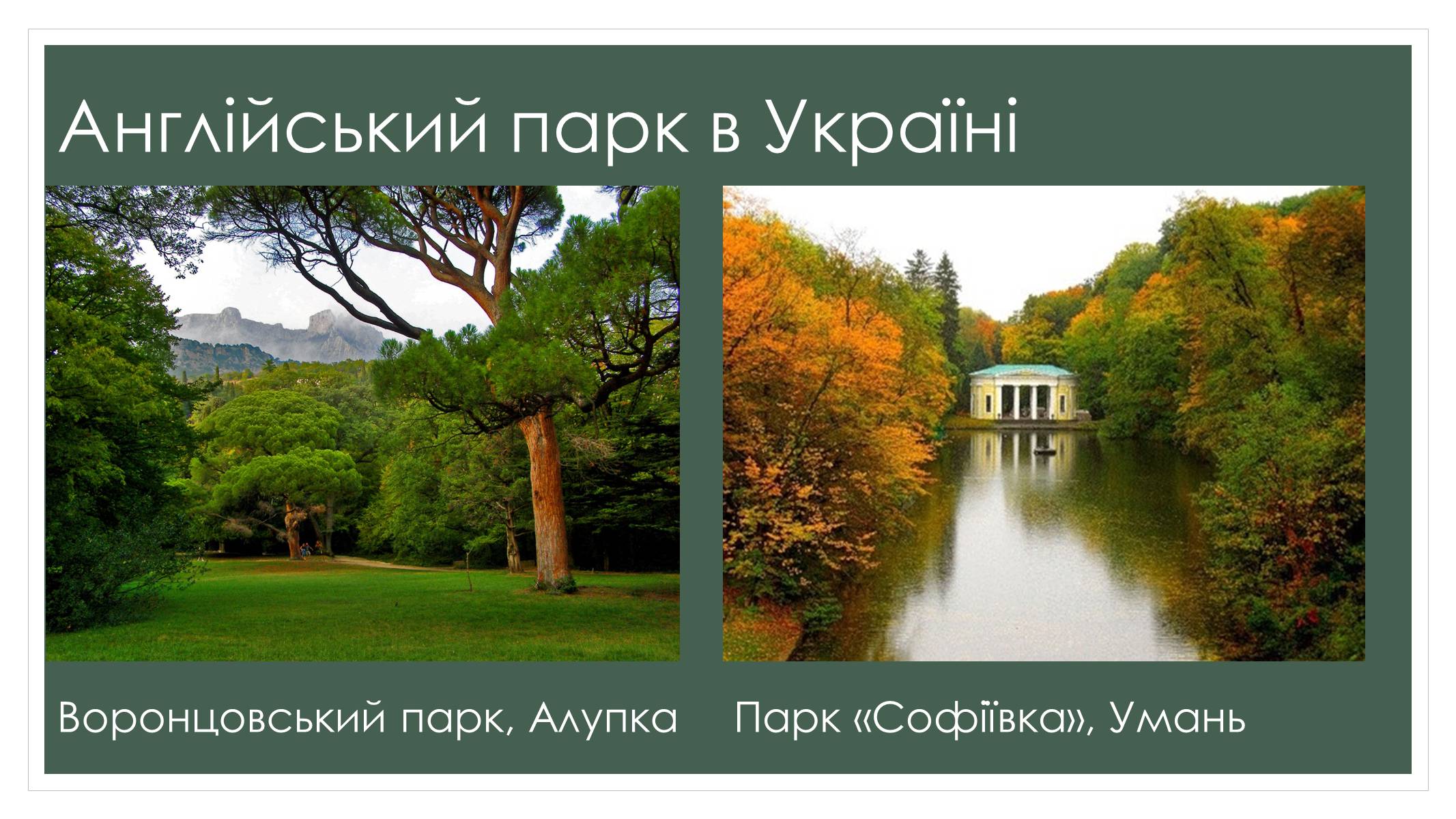 Презентація на тему «Садово-паркова культура» (варіант 2) - Слайд #13 Презентація на тему «Садово-паркова культура» (варіант 2) - Слайд #13