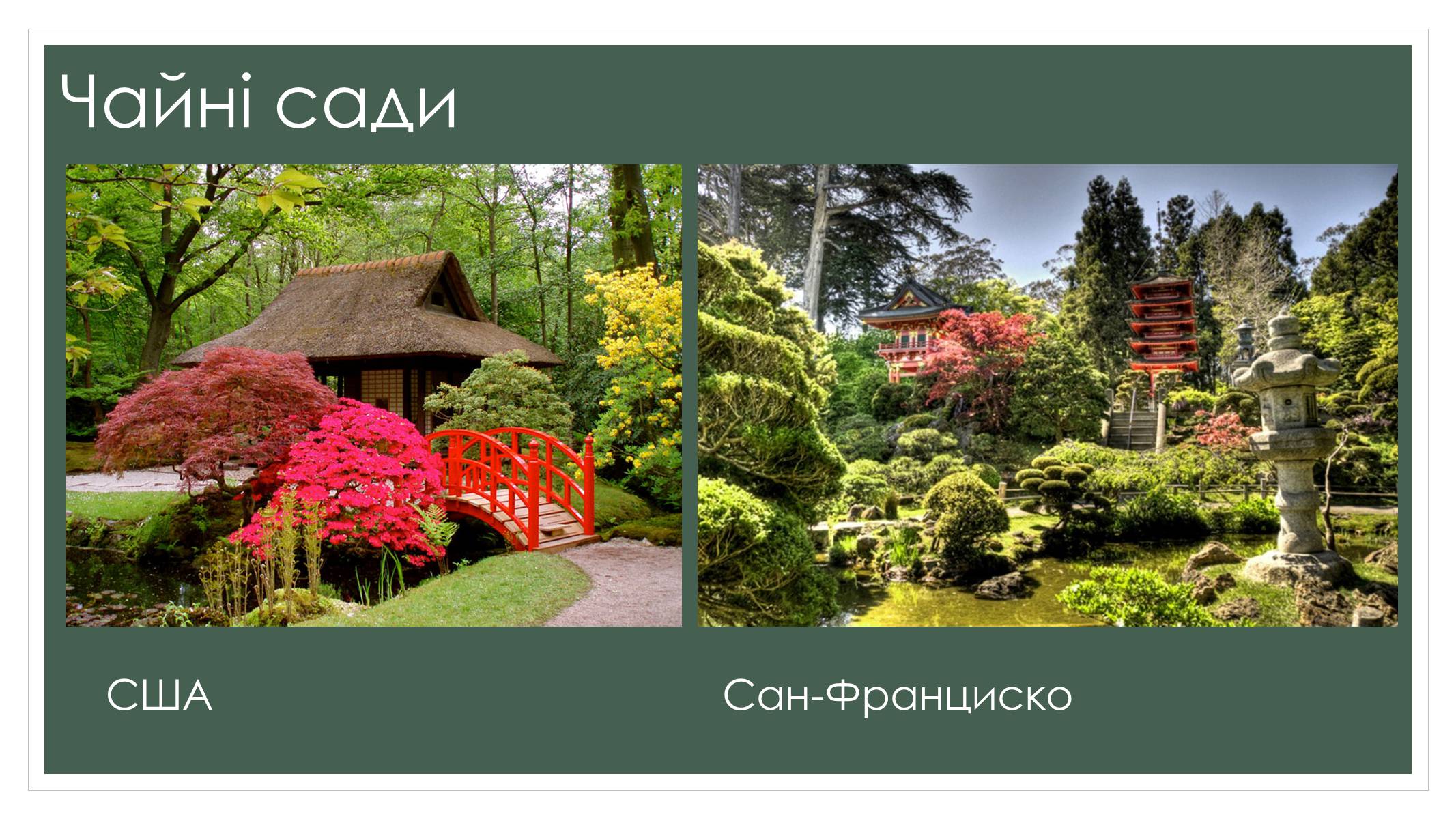 Презентація на тему «Садово-паркова культура» (варіант 2) - Слайд #18 Презентація на тему «Садово-паркова культура» (варіант 2) - Слайд #18