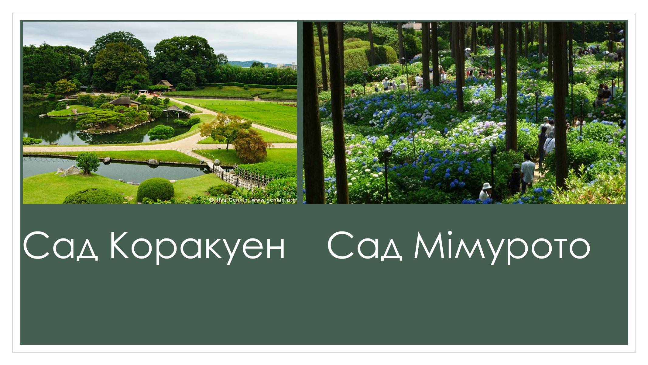 Презентація на тему «Садово-паркова культура» (варіант 2) - Слайд #21 Презентація на тему «Садово-паркова культура» (варіант 2) - Слайд #21