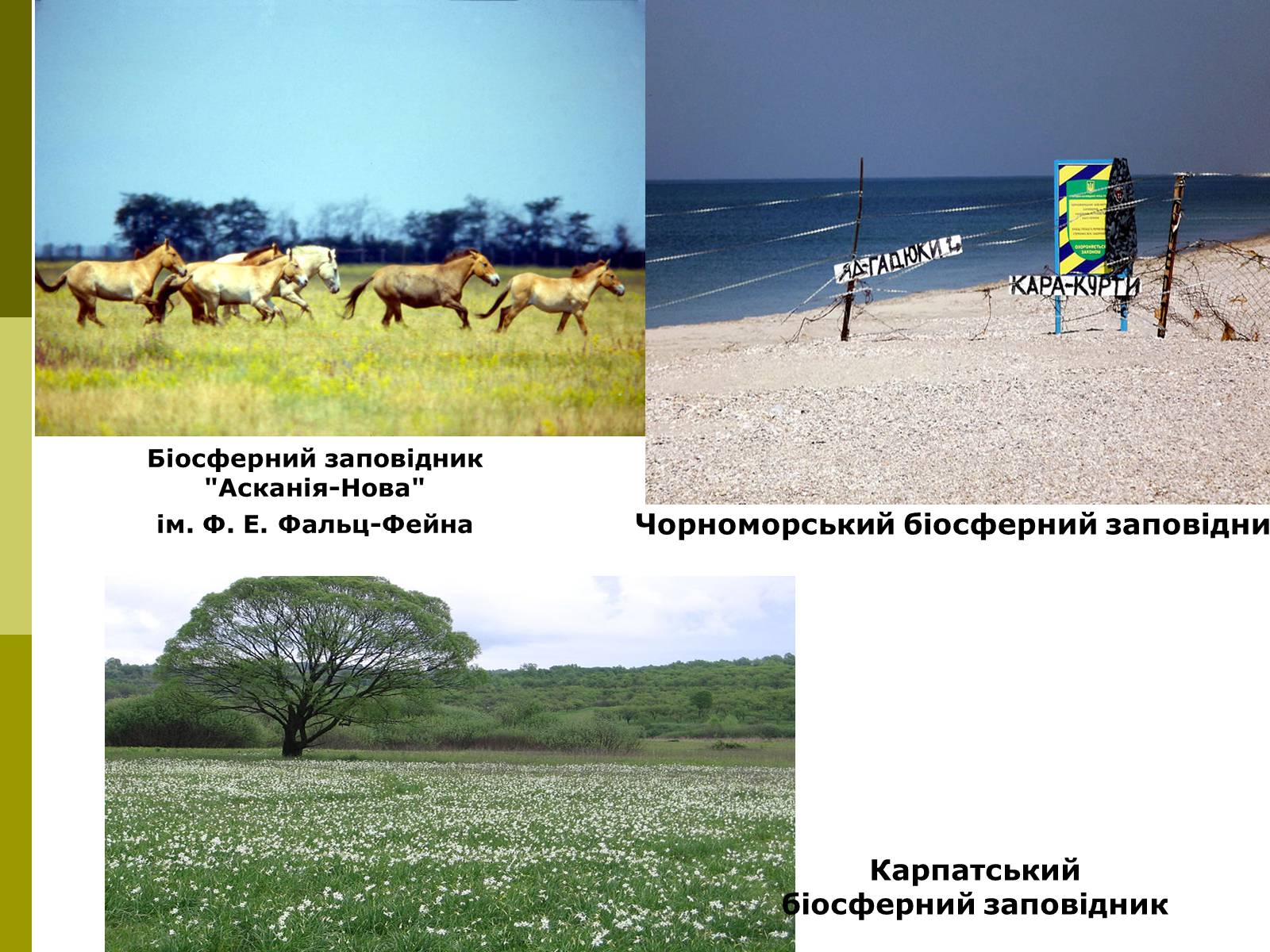 Презентація на тему «Міжнародне співробітництво України в сфері охорони довкілля» - Слайд #5 Презентація на тему «Міжнародне співробітництво України в сфері охорони довкілля» - Слайд #5