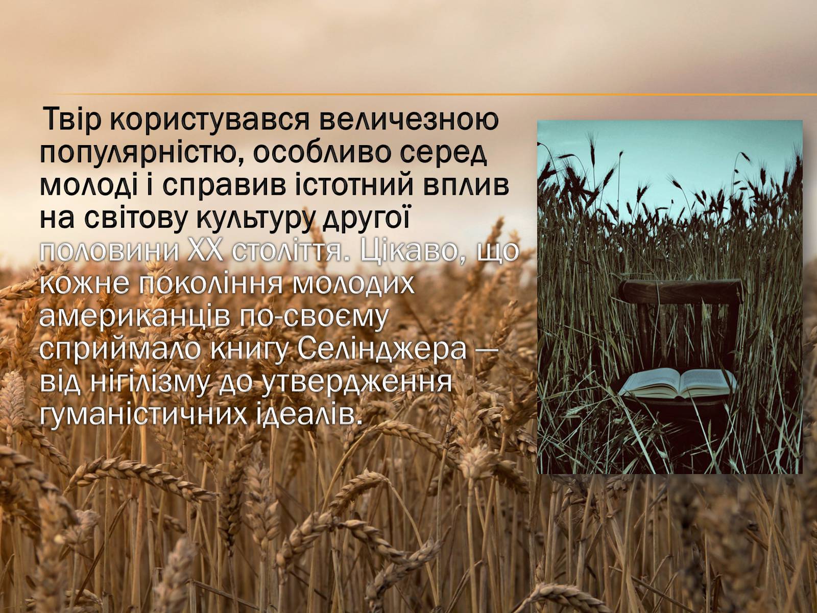 Презентація на тему «Ловець у житі» - Слайд #7 Презентація на тему «Ловець у житі» - Слайд #7