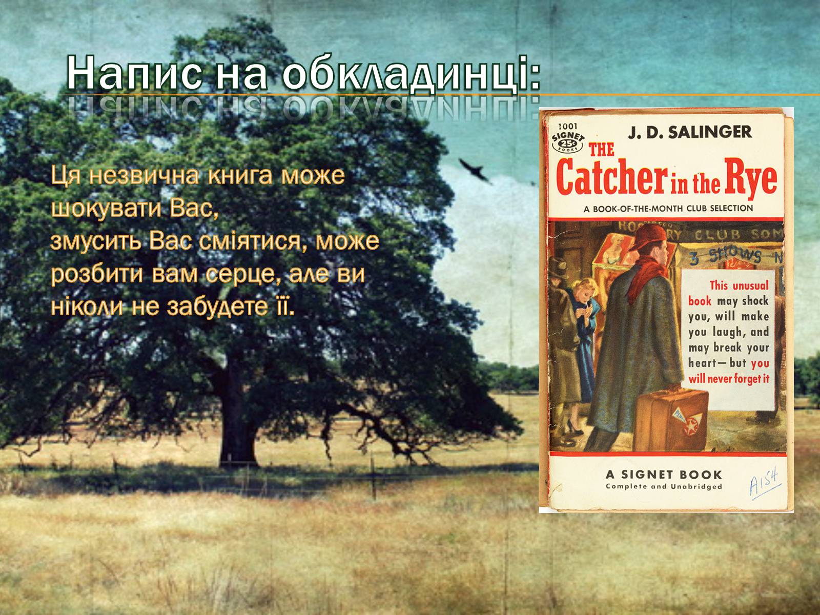 Презентація на тему «Ловець у житі» - Слайд #9 Презентація на тему «Ловець у житі» - Слайд #9