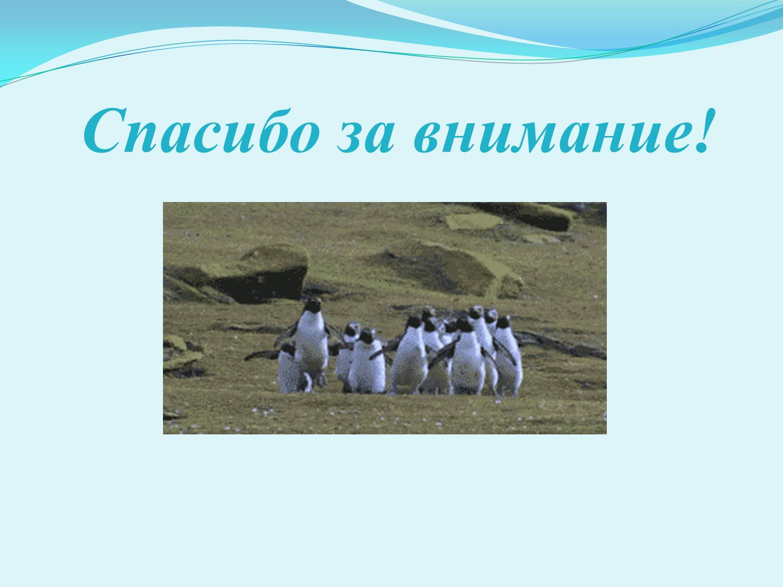 Презентація на тему «Профессия лингвист-переводчик» - Слайд #9 Презентація на тему «Профессия лингвист-переводчик» - Слайд #9