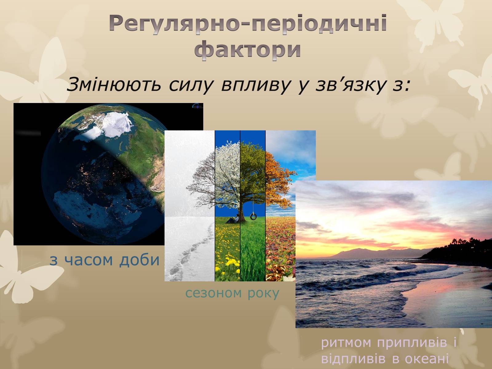 Презентація на тему «Екологічні чинники» (варіант 1) - Слайд #13 Презентація на тему «Екологічні чинники» (варіант 1) - Слайд #13