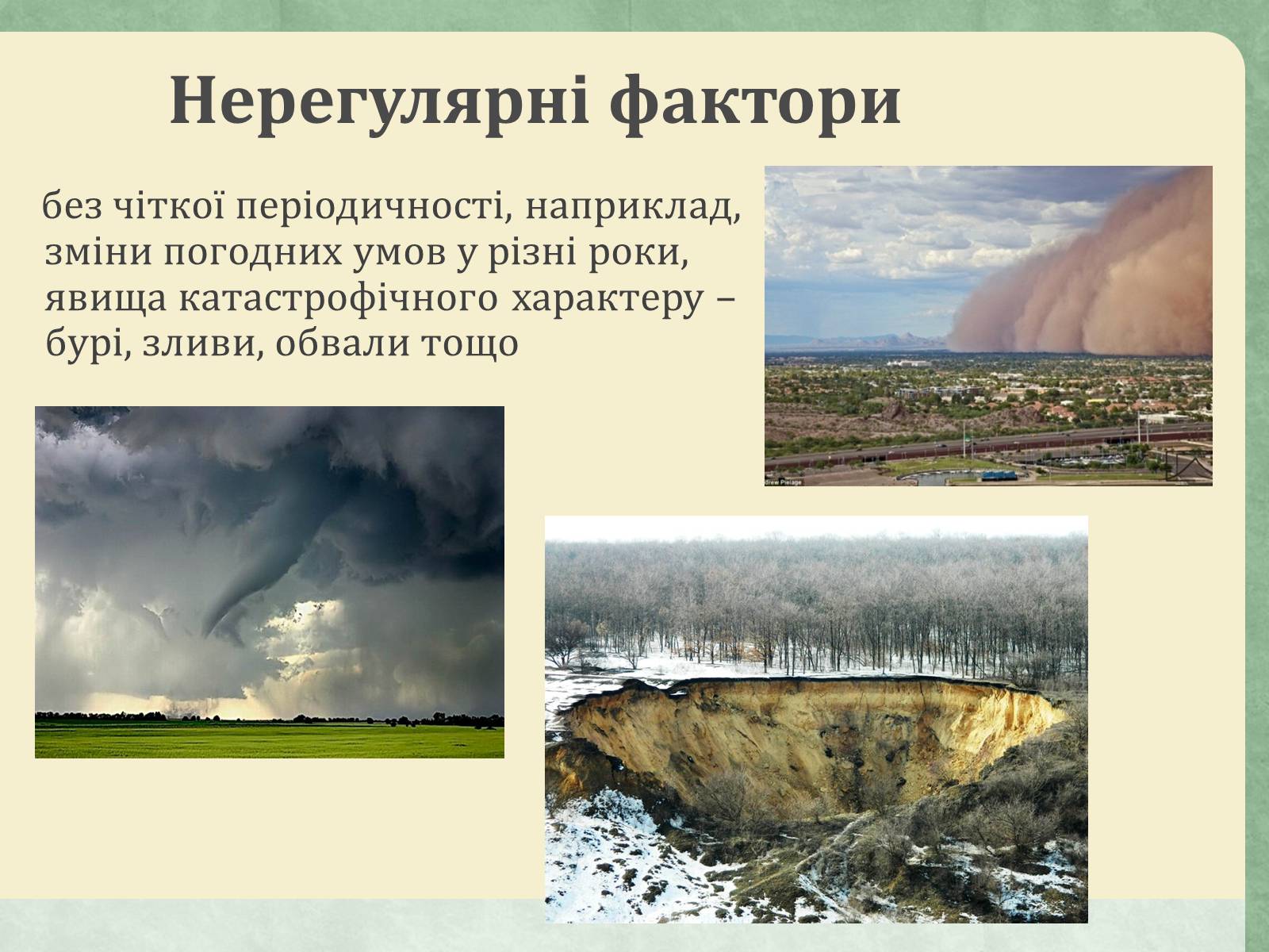 Презентація на тему «Екологічні чинники» (варіант 1) - Слайд #14 Презентація на тему «Екологічні чинники» (варіант 1) - Слайд #14
