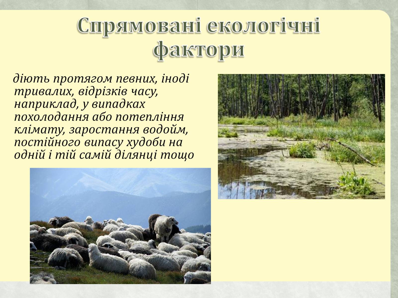 Презентація на тему «Екологічні чинники» (варіант 1) - Слайд #15 Презентація на тему «Екологічні чинники» (варіант 1) - Слайд #15