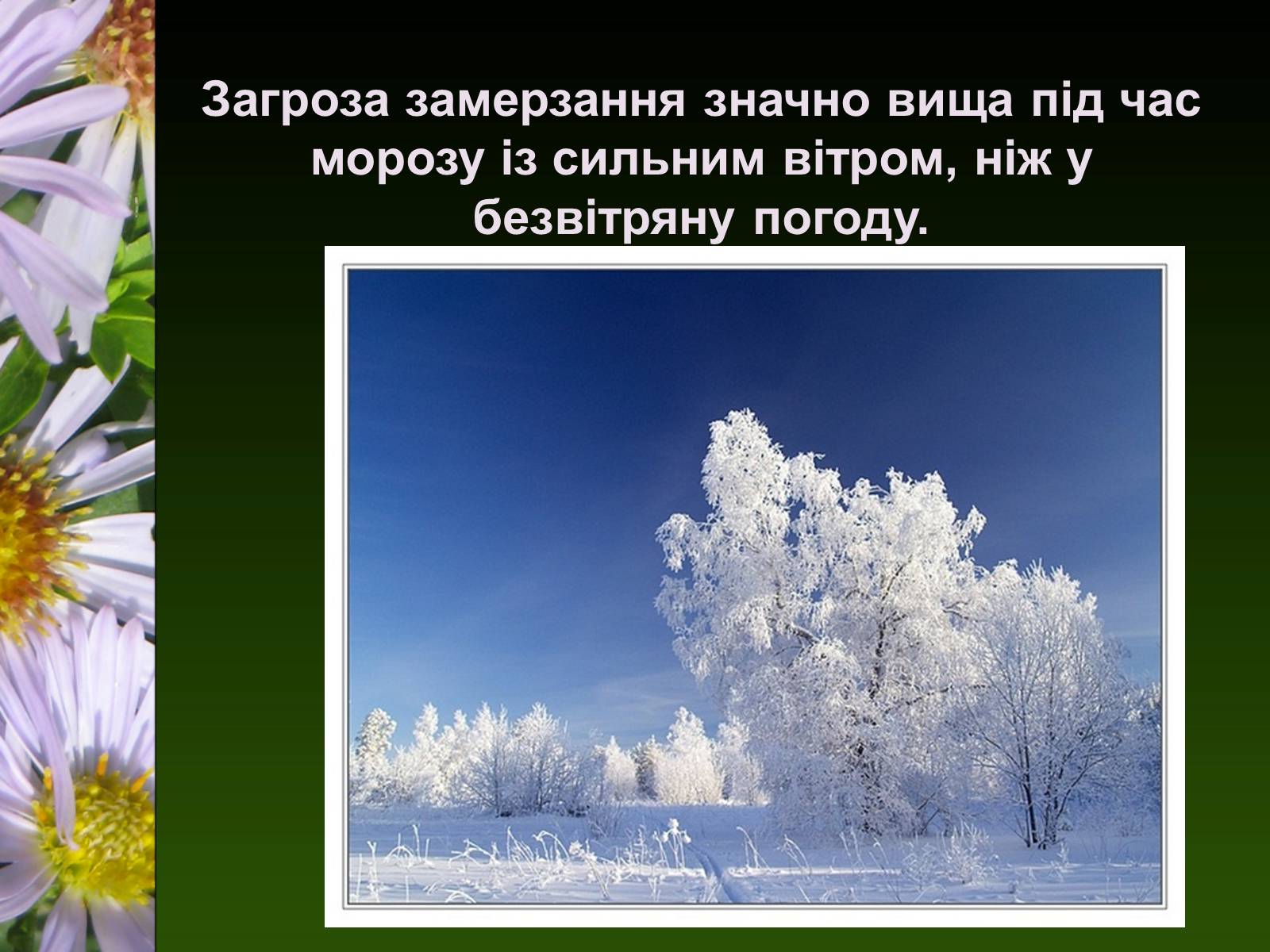 Презентація на тему «Екологічні чинники» (варіант 1) - Слайд #19 Презентація на тему «Екологічні чинники» (варіант 1) - Слайд #19