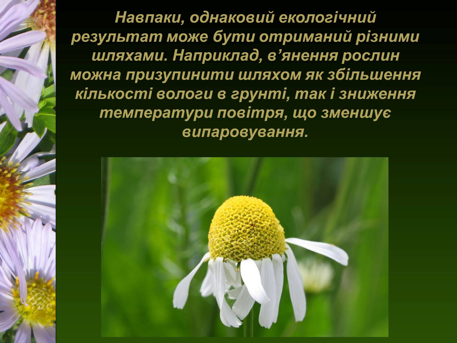 Презентація на тему «Екологічні чинники» (варіант 1) - Слайд #21 Презентація на тему «Екологічні чинники» (варіант 1) - Слайд #21