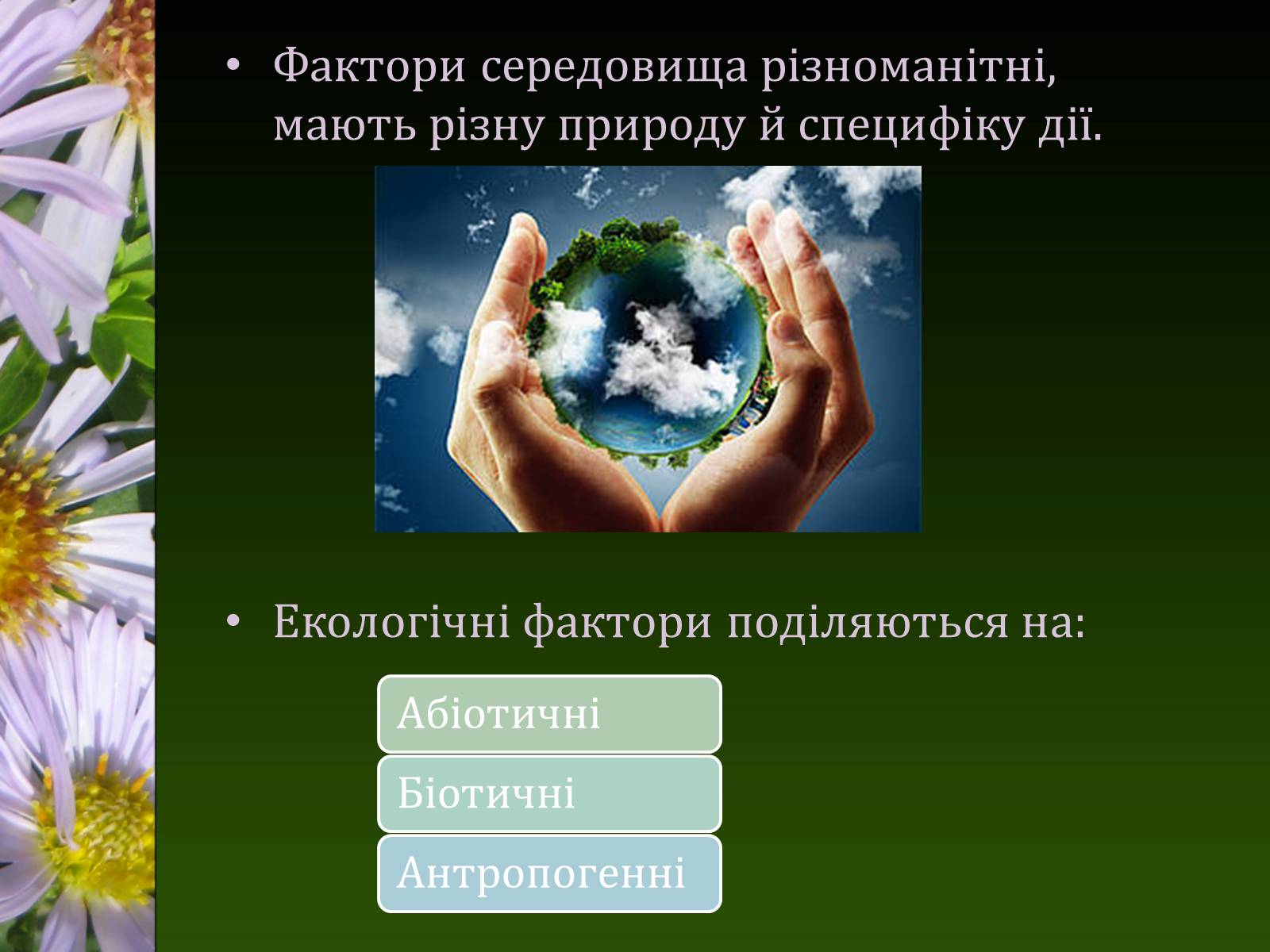 Презентація на тему «Екологічні чинники» (варіант 1) - Слайд #3 Презентація на тему «Екологічні чинники» (варіант 1) - Слайд #3
