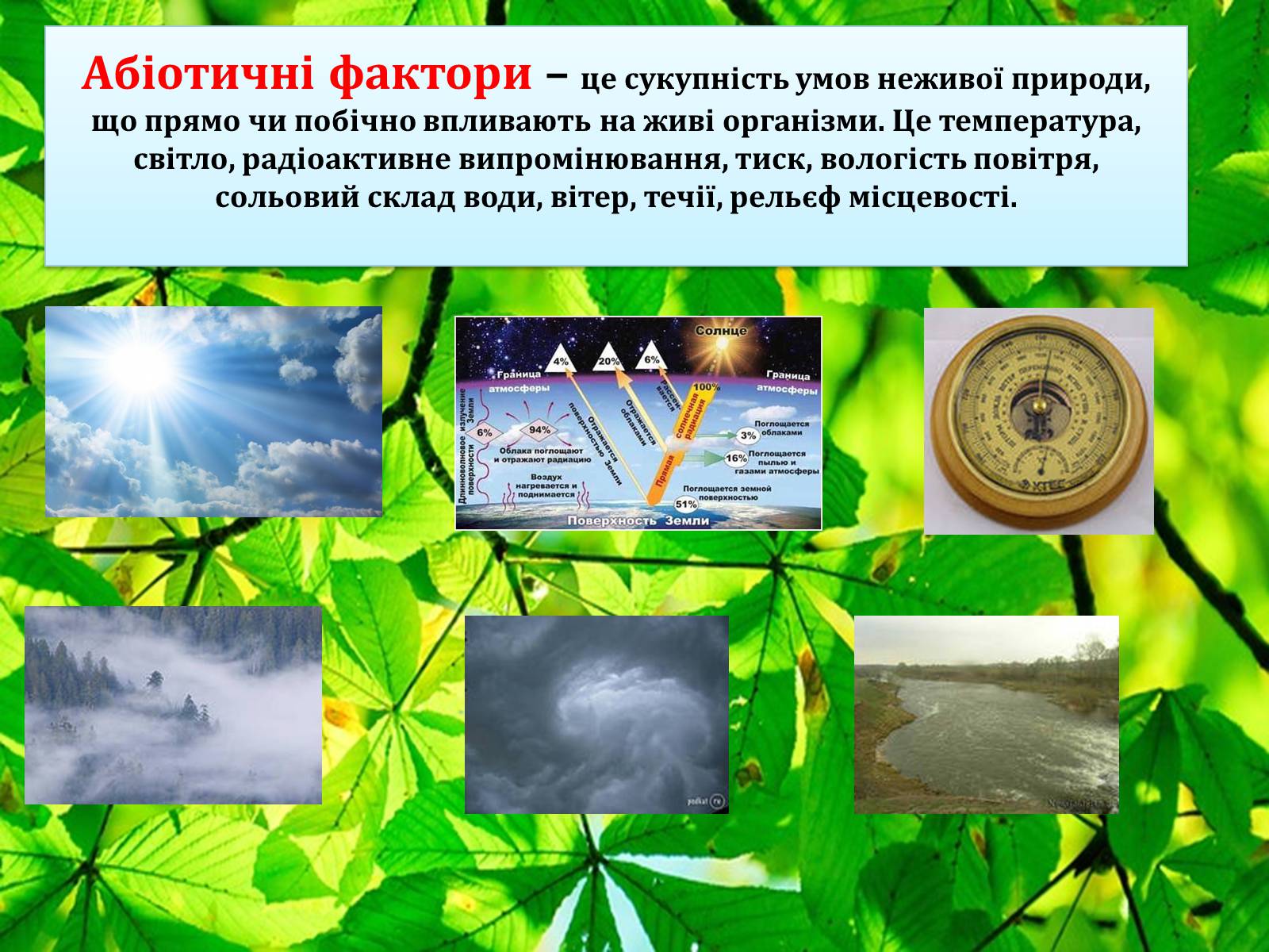 Презентація на тему «Екологічні чинники» (варіант 1) - Слайд #4 Презентація на тему «Екологічні чинники» (варіант 1) - Слайд #4