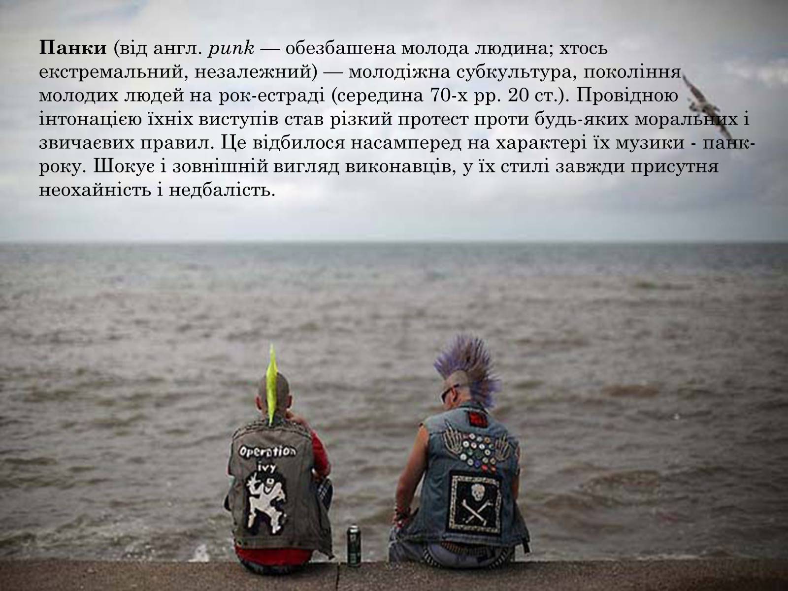Презентація на тему «Панки» (варіант 1) - Слайд #2 Презентація на тему «Панки» (варіант 1) - Слайд #2