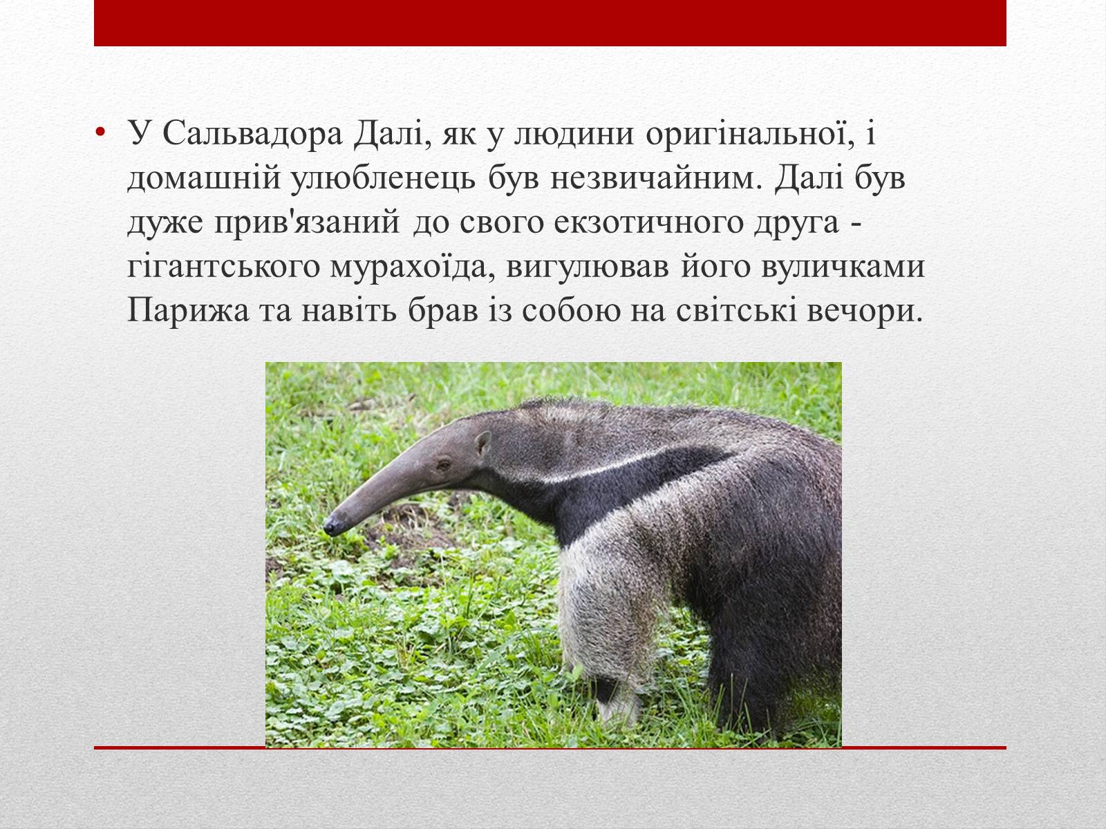 Презентація на тему «Сальвадор Далі» (варіант 10) - Слайд #17 Презентація на тему «Сальвадор Далі» (варіант 10) - Слайд #17