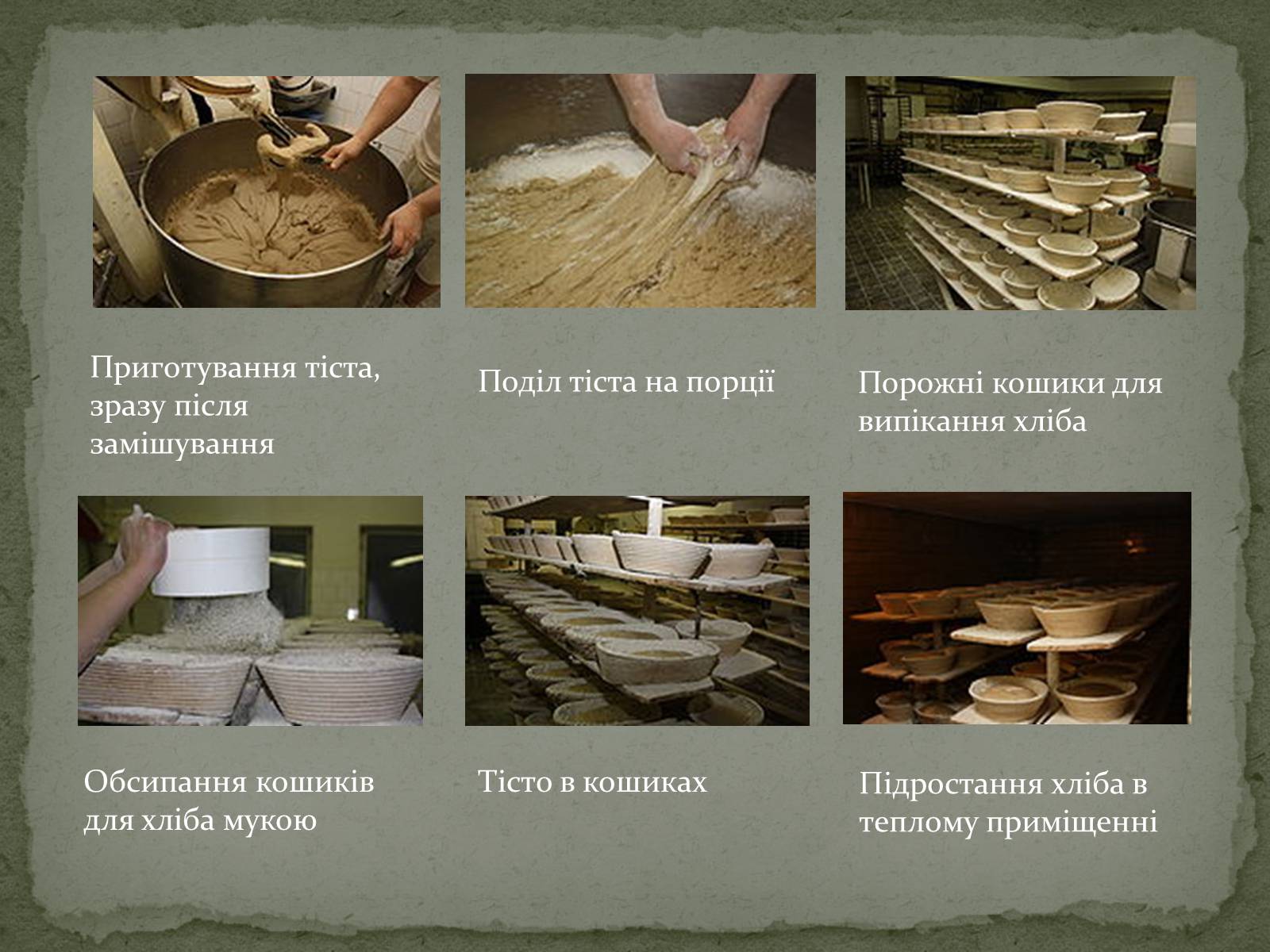 Презентація на тему «Виробництво хліба» (варіант 2) - Слайд #5 Презентація на тему «Виробництво хліба» (варіант 2) - Слайд #5