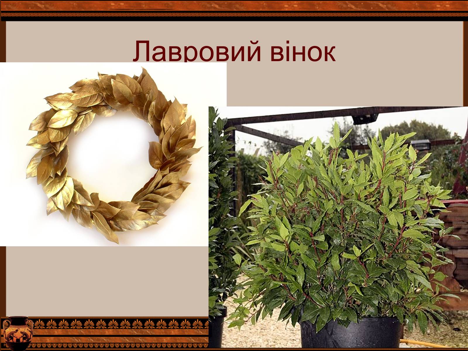 Презентація на тему «Фразеологізми» (варіант 4) - Слайд #13 Презентація на тему «Фразеологізми» (варіант 4) - Слайд #13