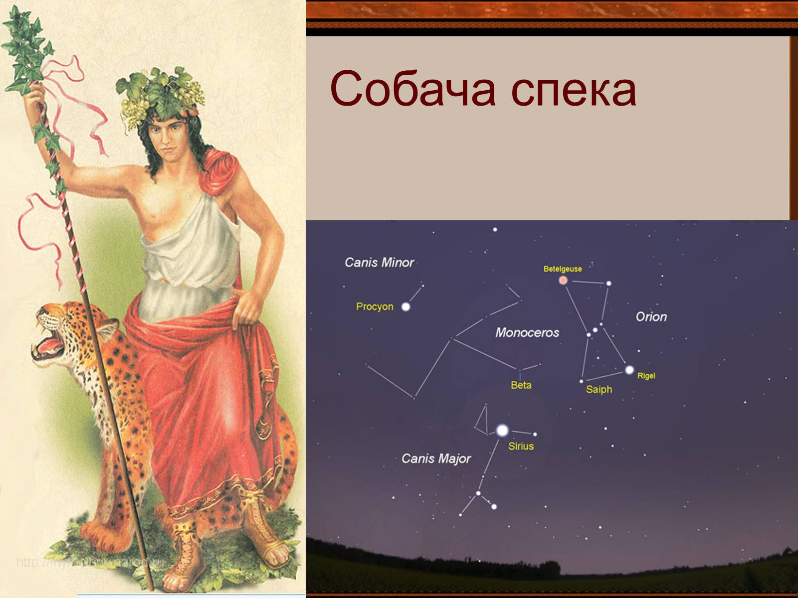 Презентація на тему «Фразеологізми» (варіант 4) - Слайд #30 Презентація на тему «Фразеологізми» (варіант 4) - Слайд #30
