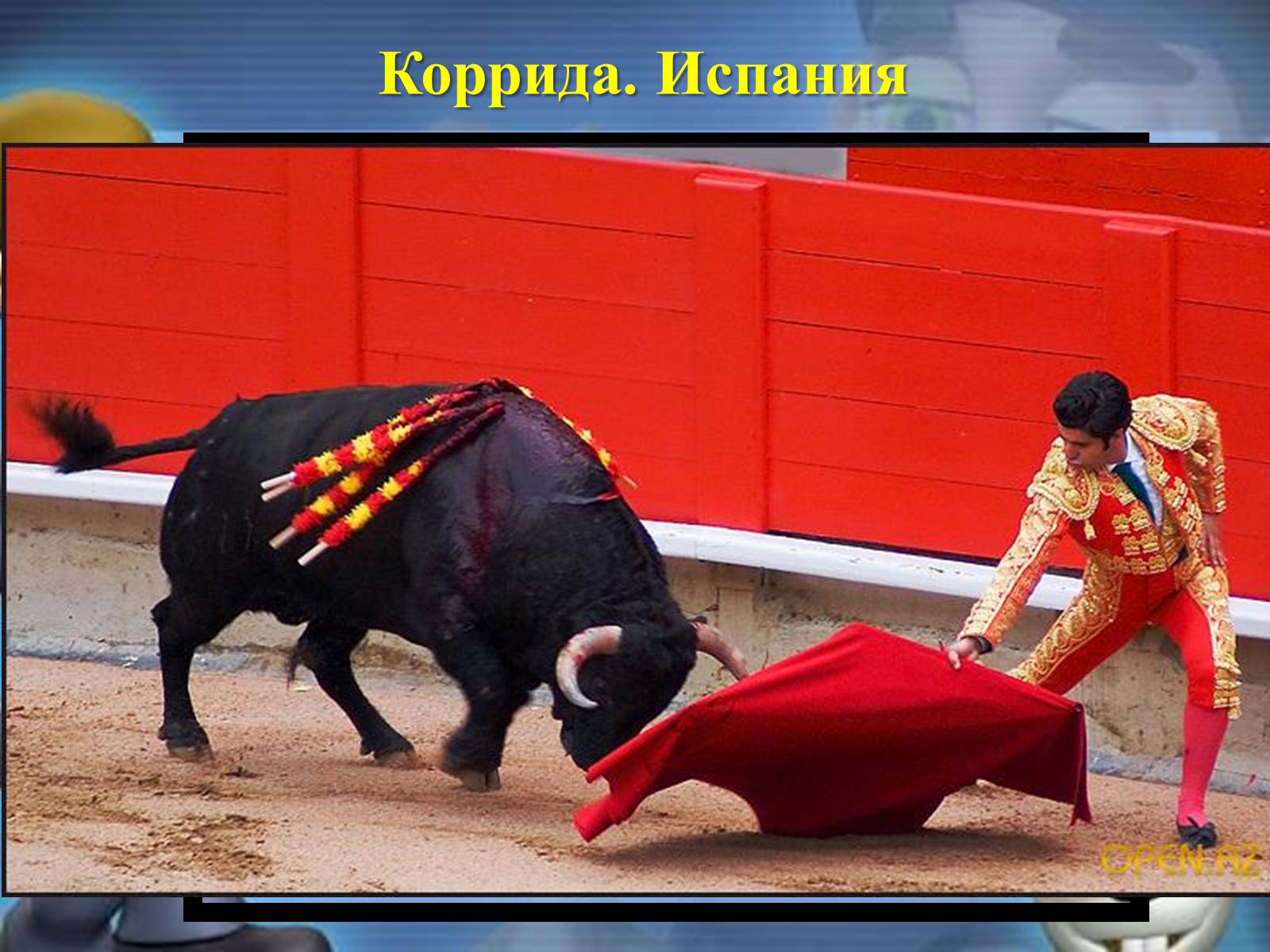 Презентація на тему «Цирк» - Слайд #8 Презентація на тему «Цирк» - Слайд #8