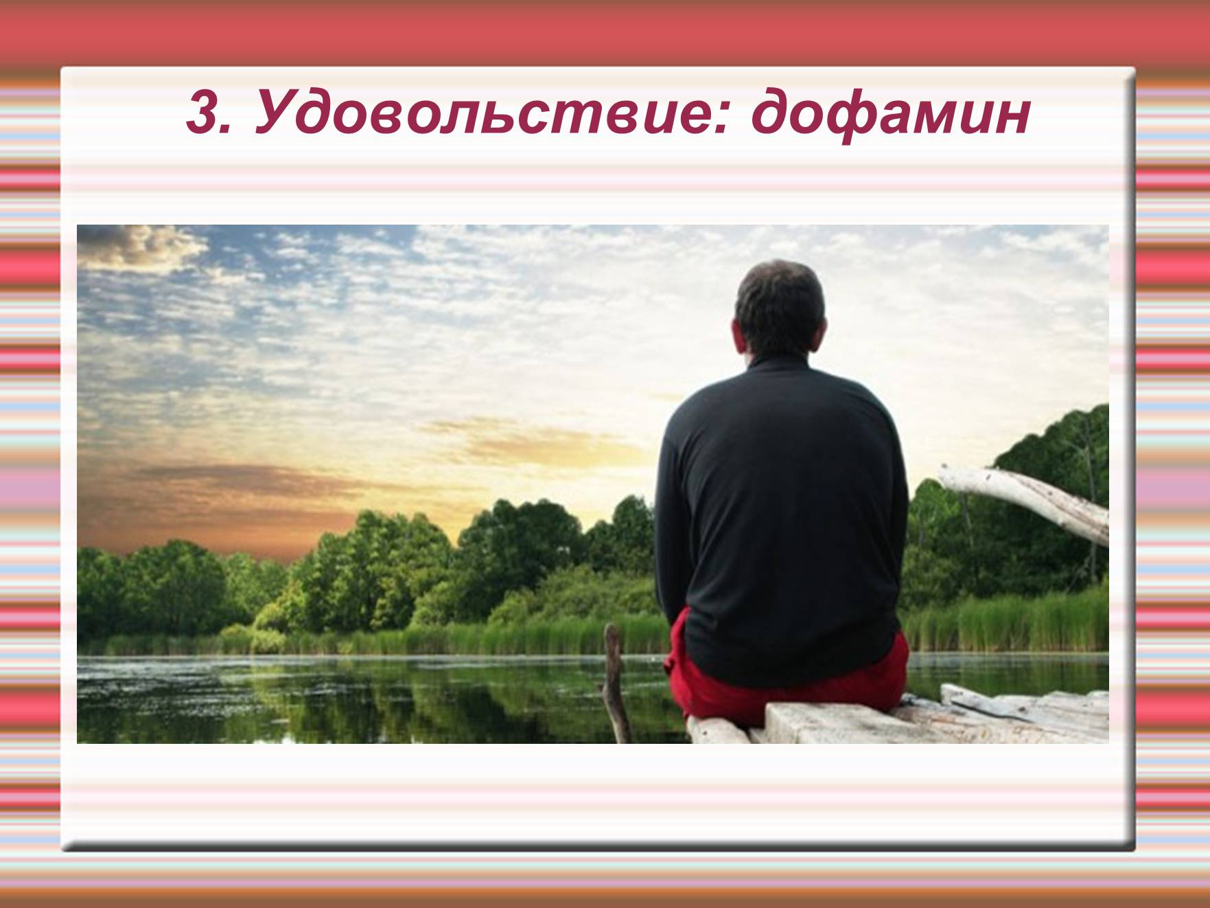 Презентація на тему «Химия эмоций» - Слайд #13 Презентація на тему «Химия эмоций» - Слайд #13