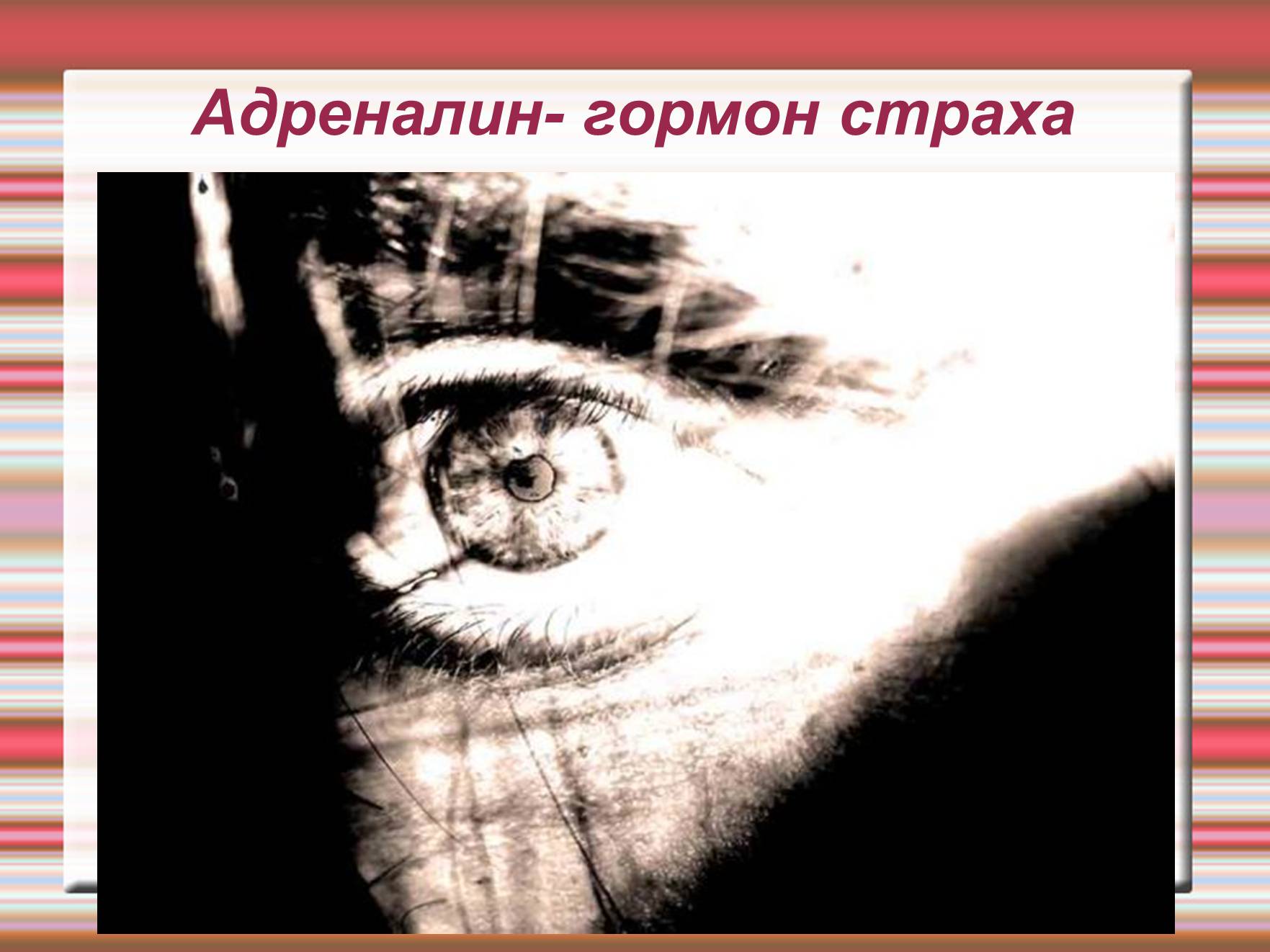 Презентація на тему «Химия эмоций» - Слайд #17 Презентація на тему «Химия эмоций» - Слайд #17