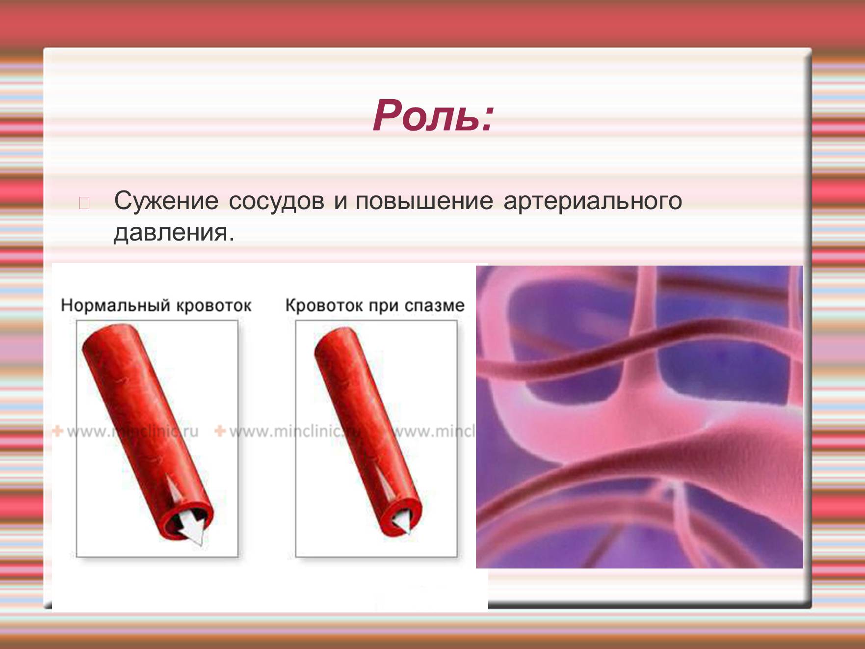 Презентація на тему «Химия эмоций» - Слайд #23 Презентація на тему «Химия эмоций» - Слайд #23