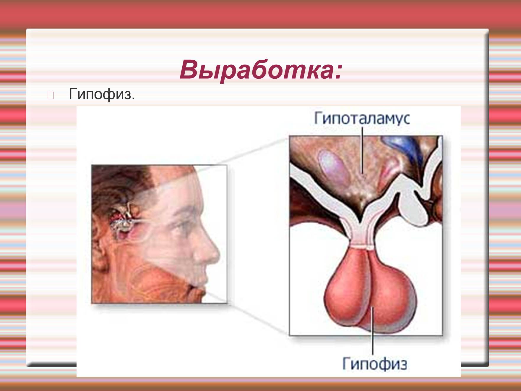 Презентація на тему «Химия эмоций» - Слайд #50 Презентація на тему «Химия эмоций» - Слайд #50