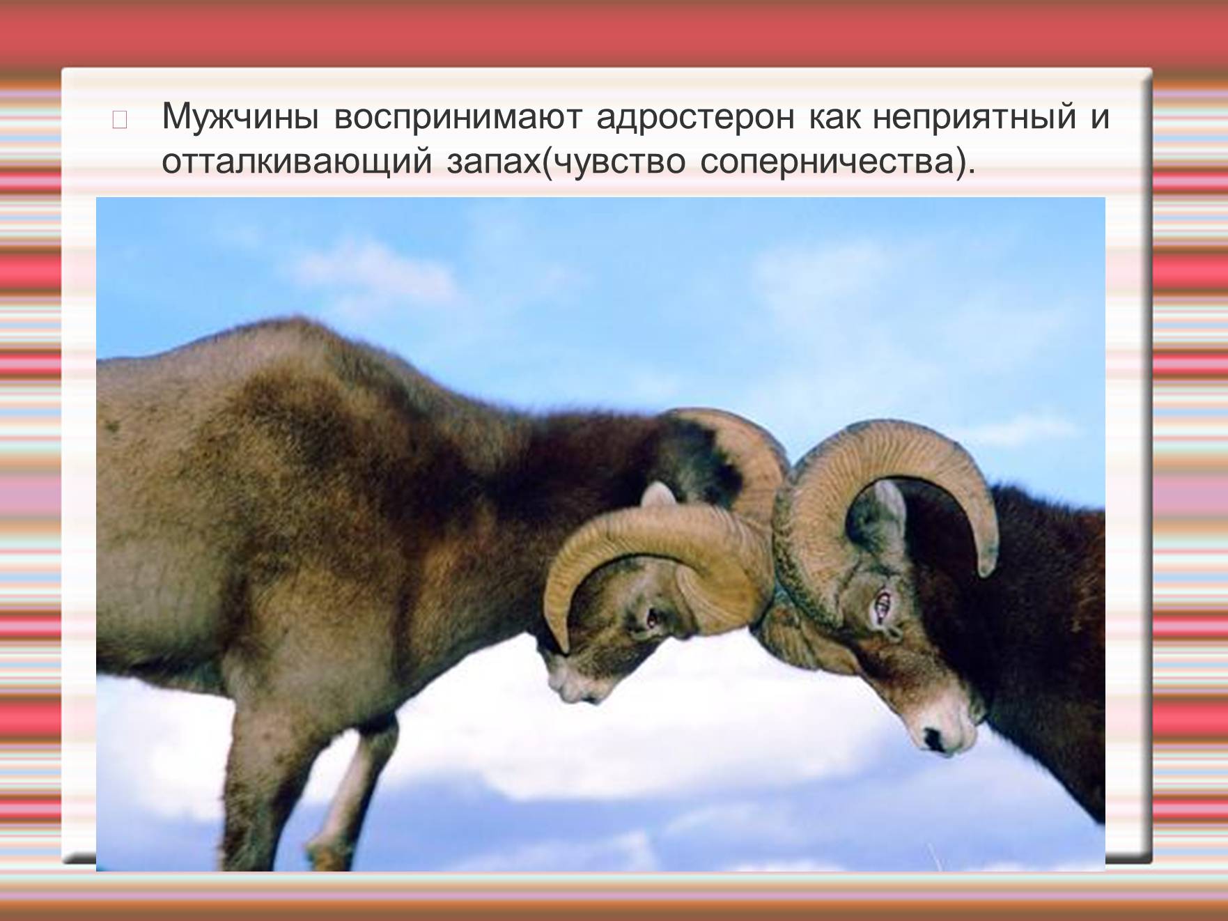 Презентація на тему «Химия эмоций» - Слайд #57 Презентація на тему «Химия эмоций» - Слайд #57