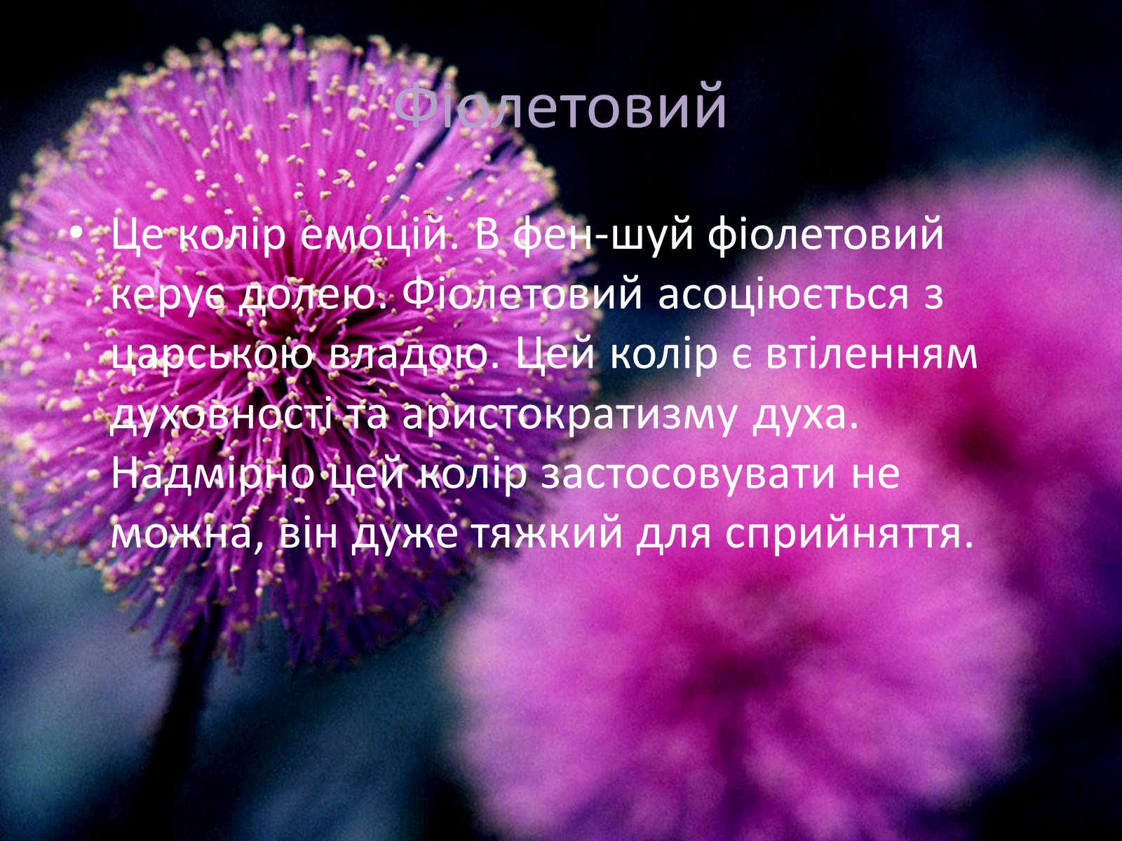Презентація на тему «Кольори» (варіант 2) - Слайд #13 Презентація на тему «Кольори» (варіант 2) - Слайд #13