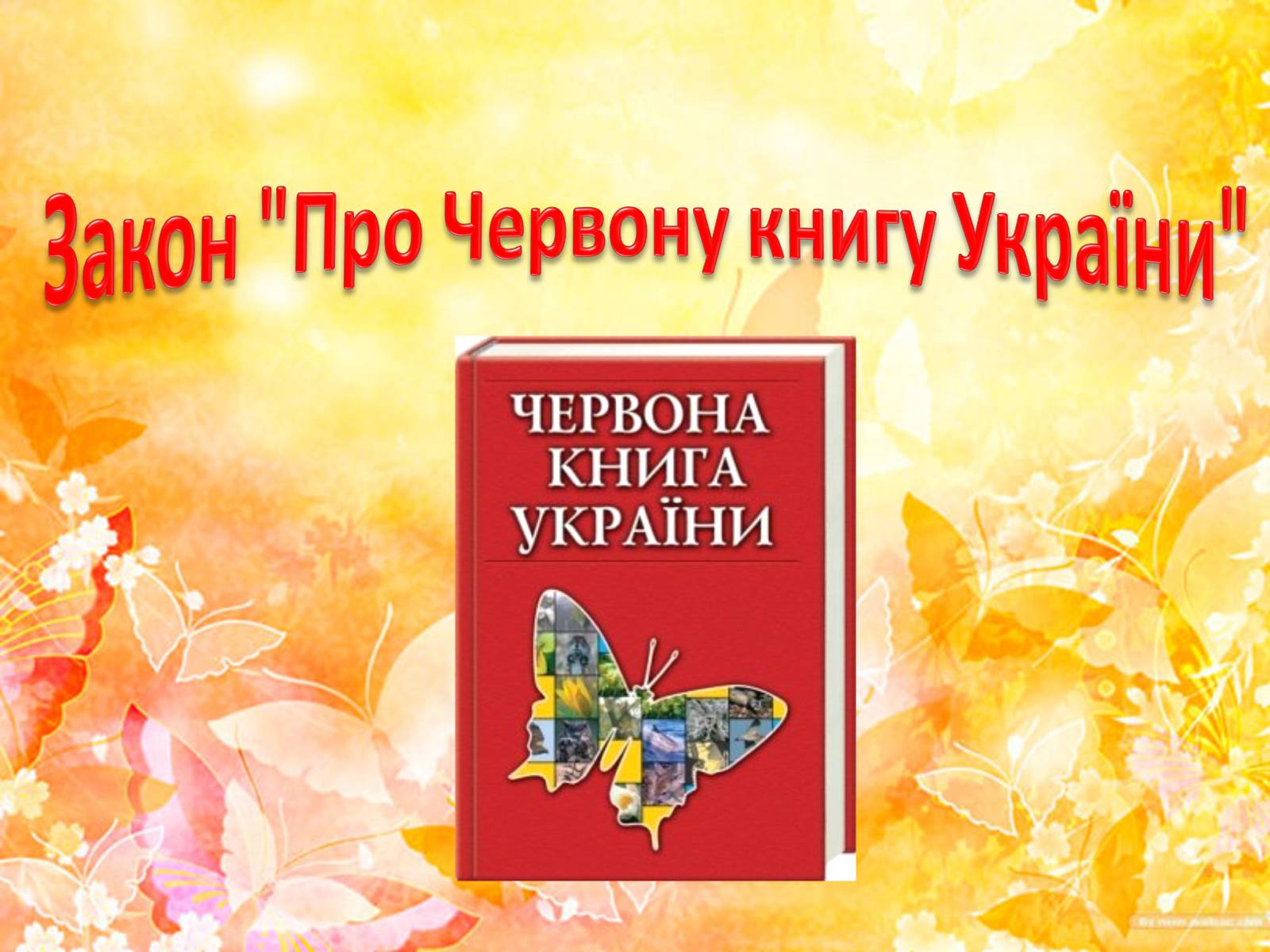 Презентація на тему «Природоохоронне законодавство України» (варіант 2) - Слайд #4 Презентація на тему «Природоохоронне законодавство України» (варіант 2) - Слайд #4