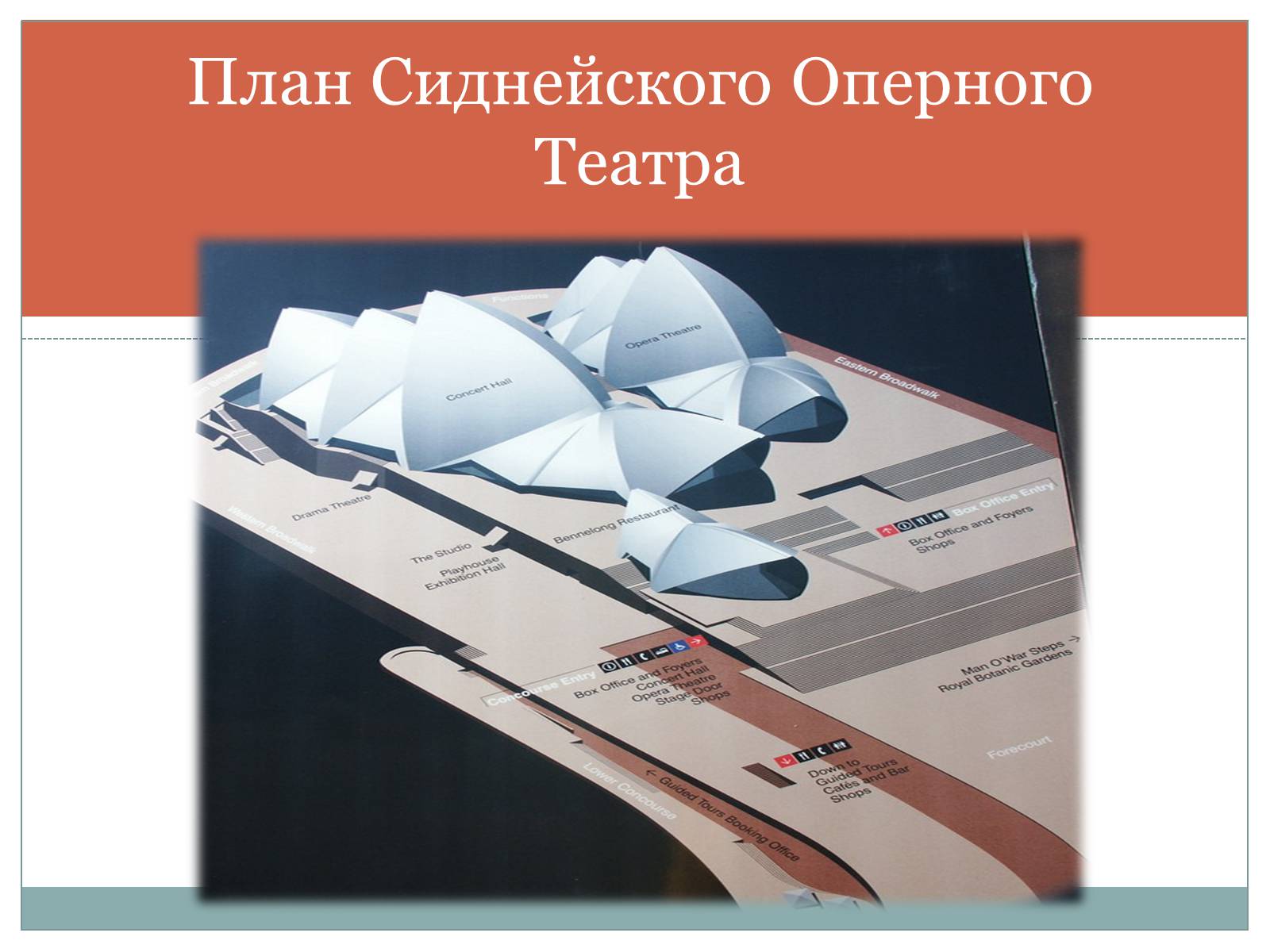 Презентація на тему «Сиднейская Опера» - Слайд #5 Презентація на тему «Сиднейская Опера» - Слайд #5