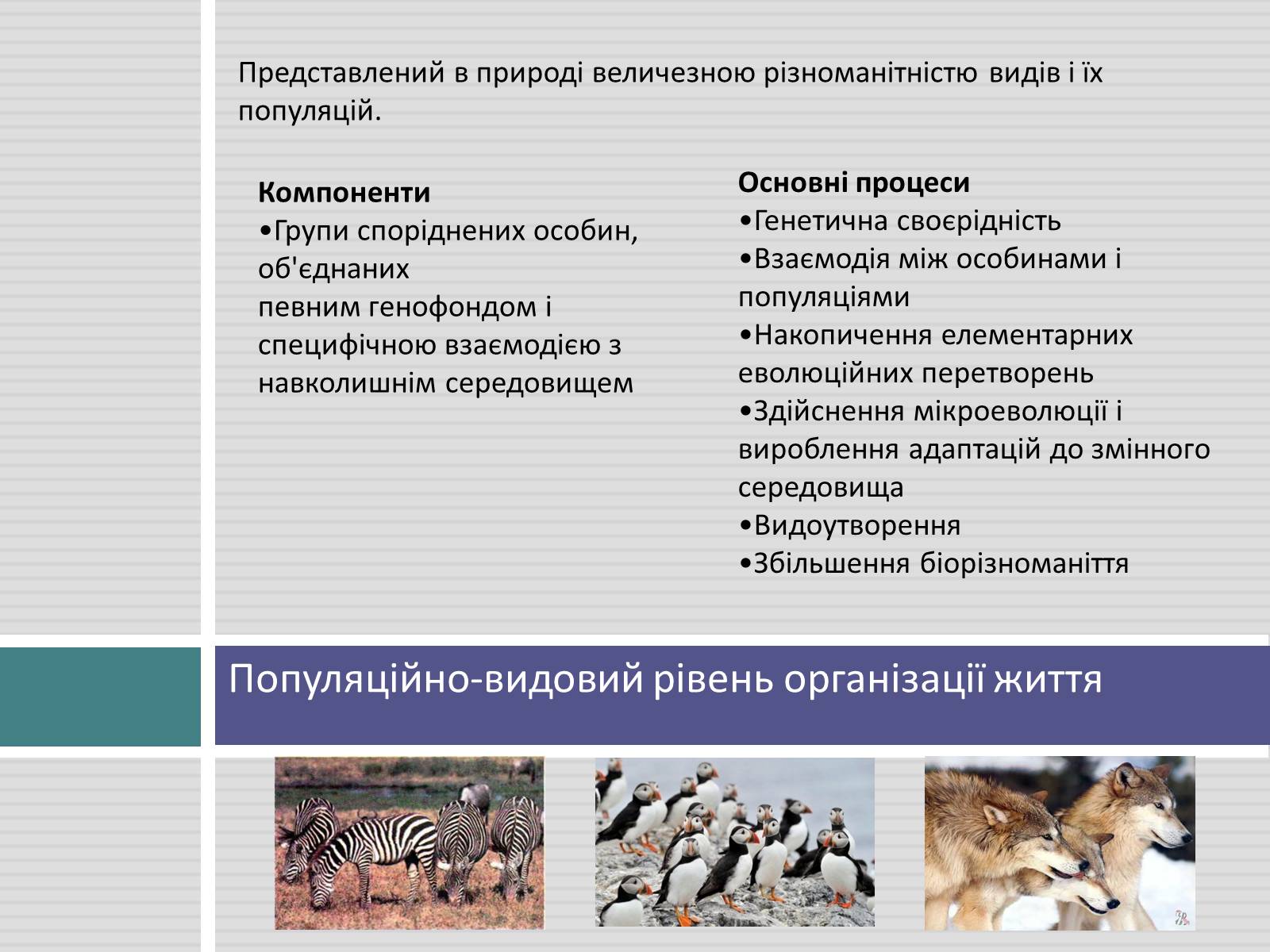 Презентація на тему «Жива природа» - Слайд #9 Презентація на тему «Жива природа» - Слайд #9