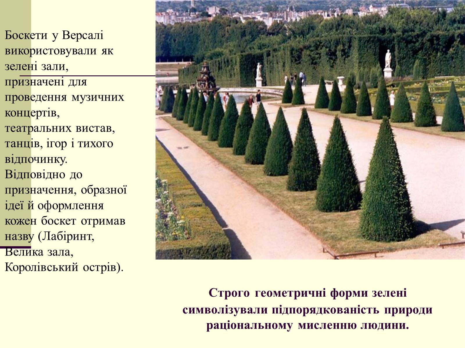 Презентація на тему «Садово-паркова культура» (варіант 1) - Слайд #17 Презентація на тему «Садово-паркова культура» (варіант 1) - Слайд #17