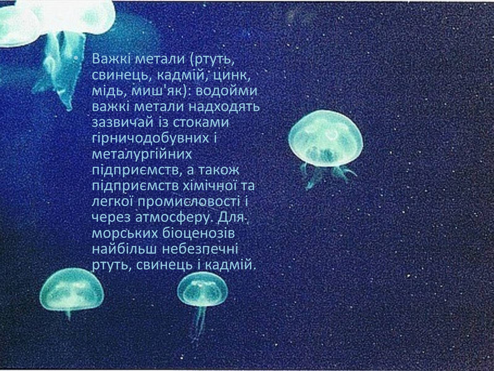 Презентація на тему «Міжнародне використання світового океану» - Слайд #28 Презентація на тему «Міжнародне використання світового океану» - Слайд #28