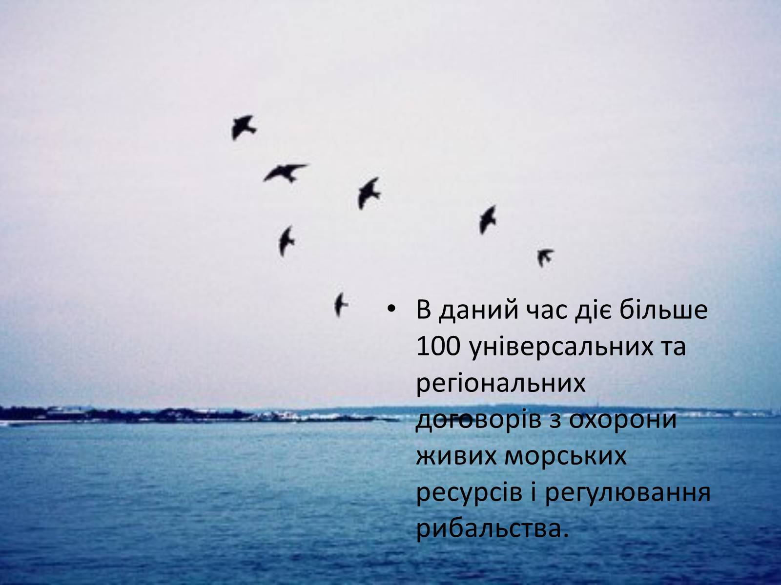 Презентація на тему «Міжнародне використання світового океану» - Слайд #45 Презентація на тему «Міжнародне використання світового океану» - Слайд #45