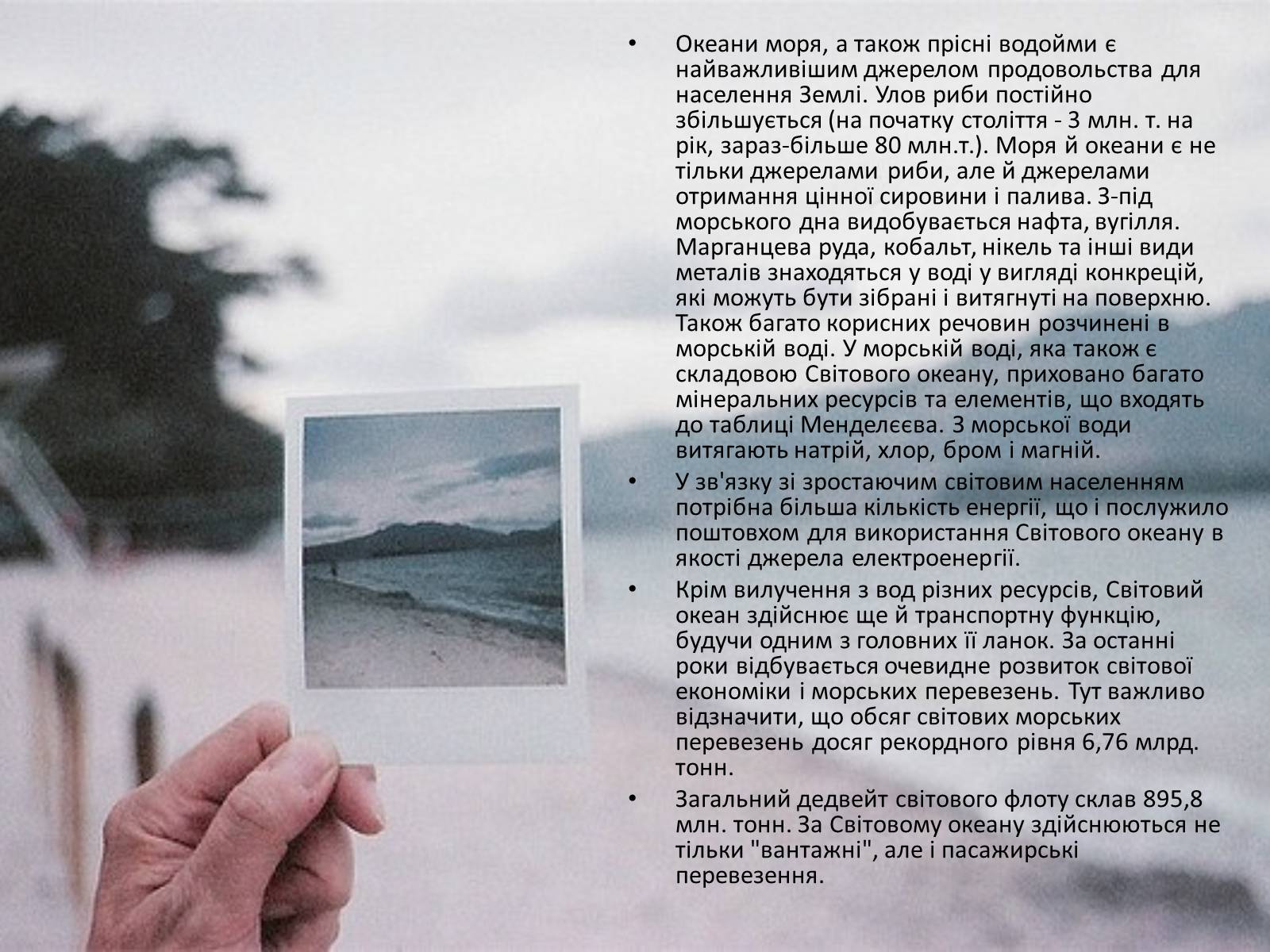 Презентація на тему «Міжнародне використання світового океану» - Слайд #8 Презентація на тему «Міжнародне використання світового океану» - Слайд #8