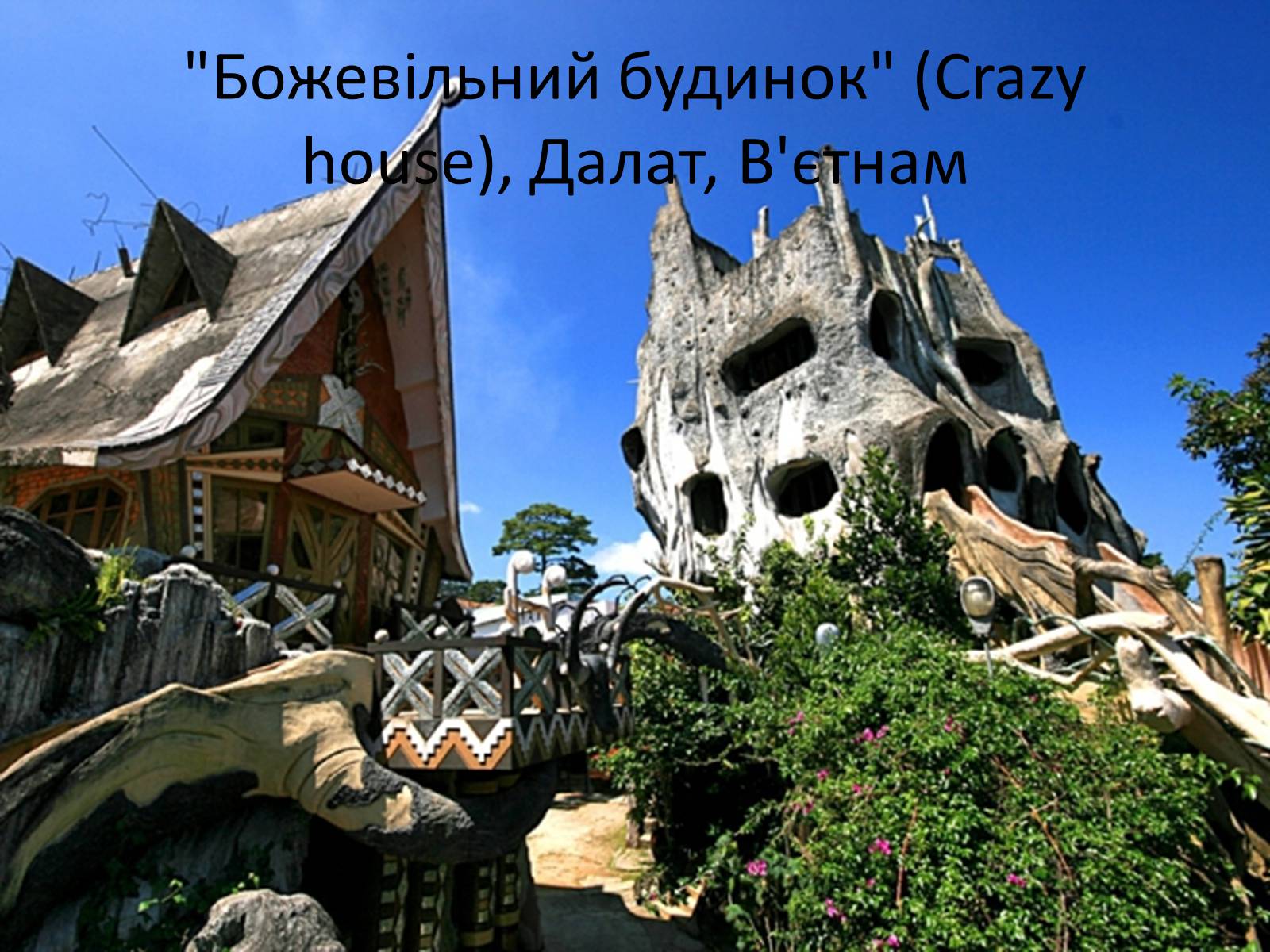Презентація на тему «Незвичайні будинки у світі: 10 найцікавіших» - Слайд #23 Презентація на тему «Незвичайні будинки у світі: 10 найцікавіших» - Слайд #23