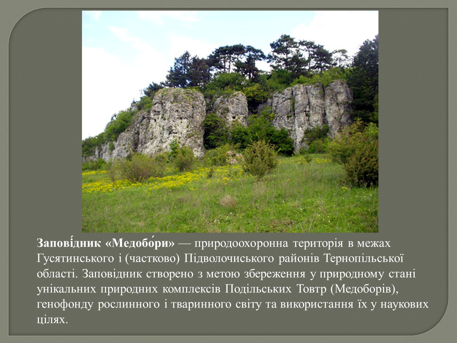 Презентація на тему «Медобори» - Слайд #2 Презентація на тему «Медобори» - Слайд #2