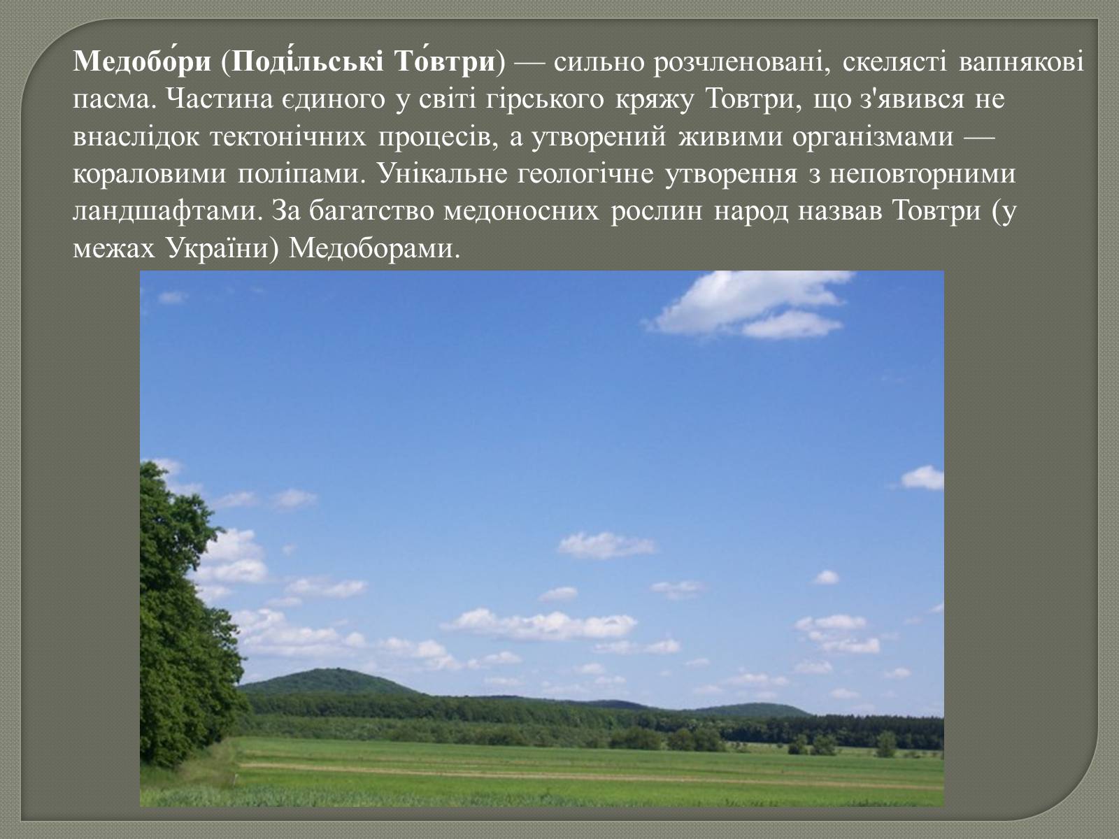 Презентація на тему «Медобори» - Слайд #3 Презентація на тему «Медобори» - Слайд #3