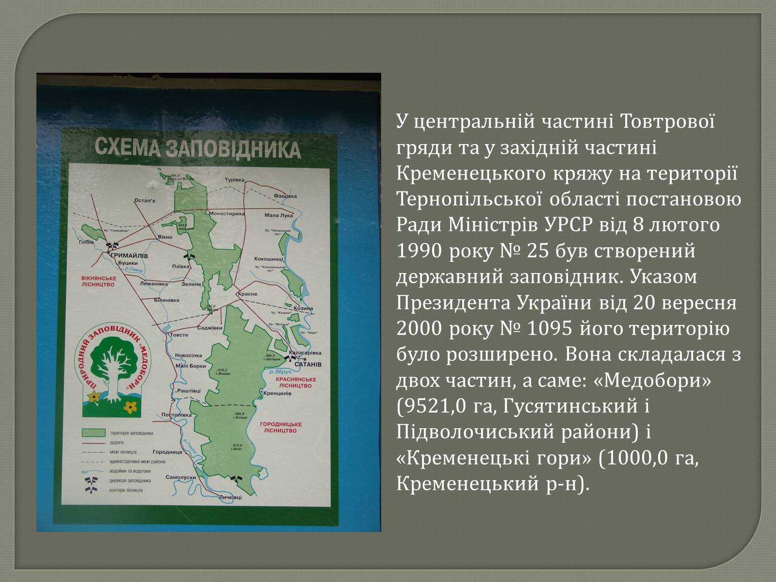 Презентація на тему «Медобори» - Слайд #4 Презентація на тему «Медобори» - Слайд #4