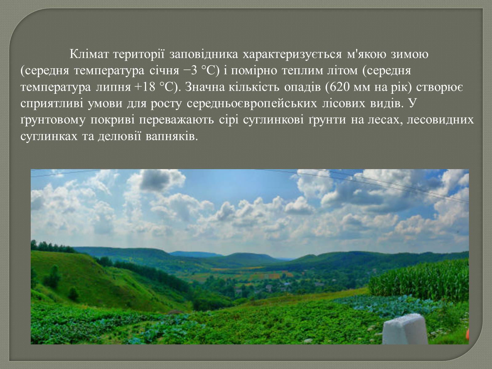 Презентація на тему «Медобори» - Слайд #7 Презентація на тему «Медобори» - Слайд #7