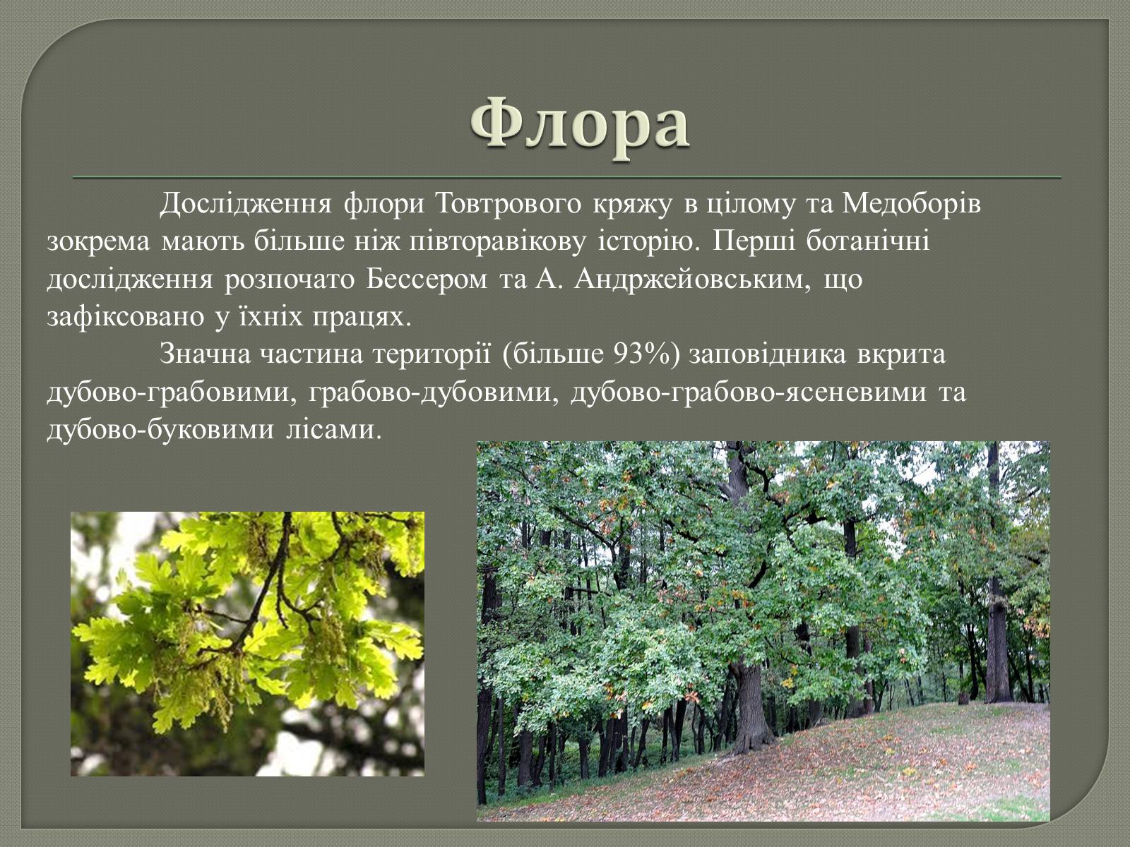 Презентація на тему «Медобори» - Слайд #8 Презентація на тему «Медобори» - Слайд #8